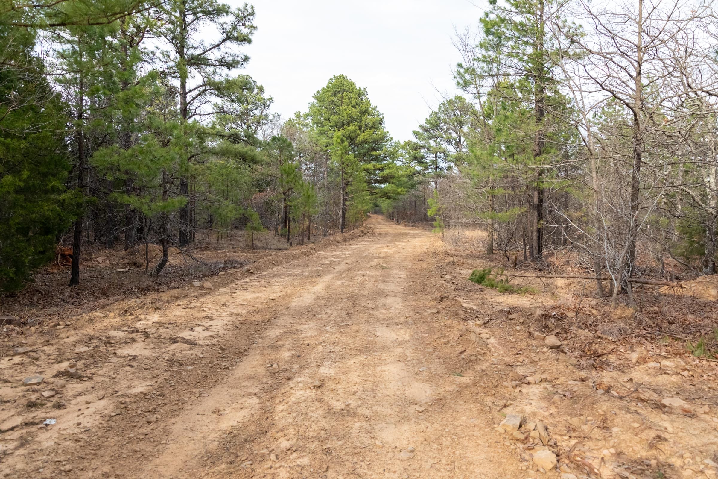 Stone Bridge Phase III Tract 181 photo 2