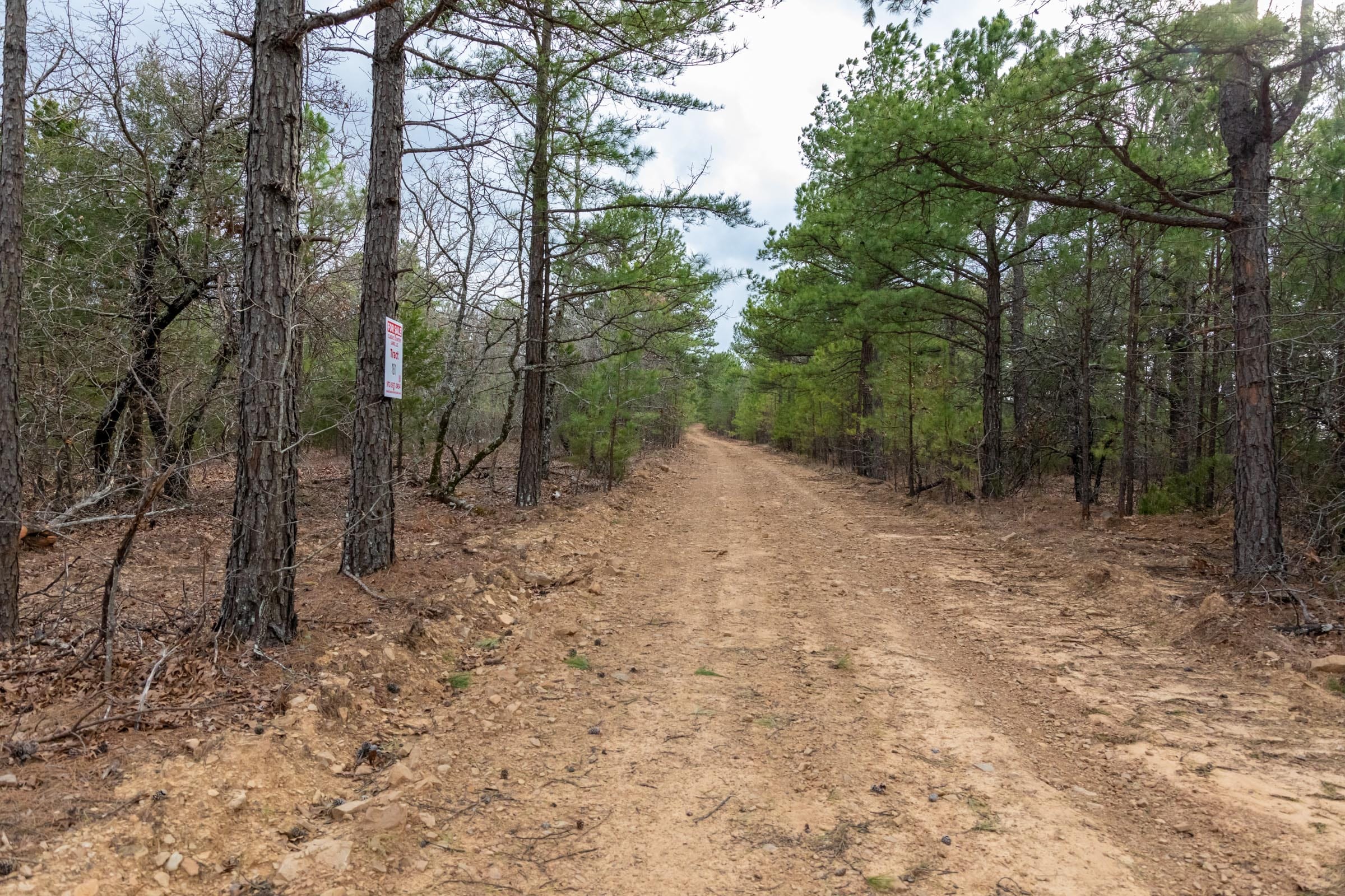 Stone Bridge Phase III Tract 181 photo 5