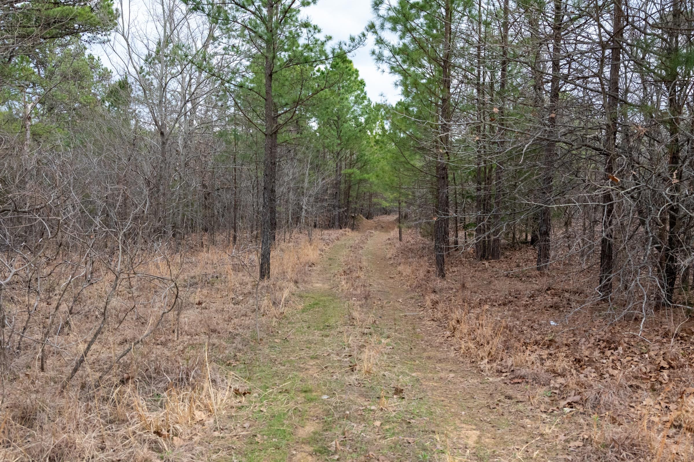 Stone Bridge Phase III Tract 181 photo 8