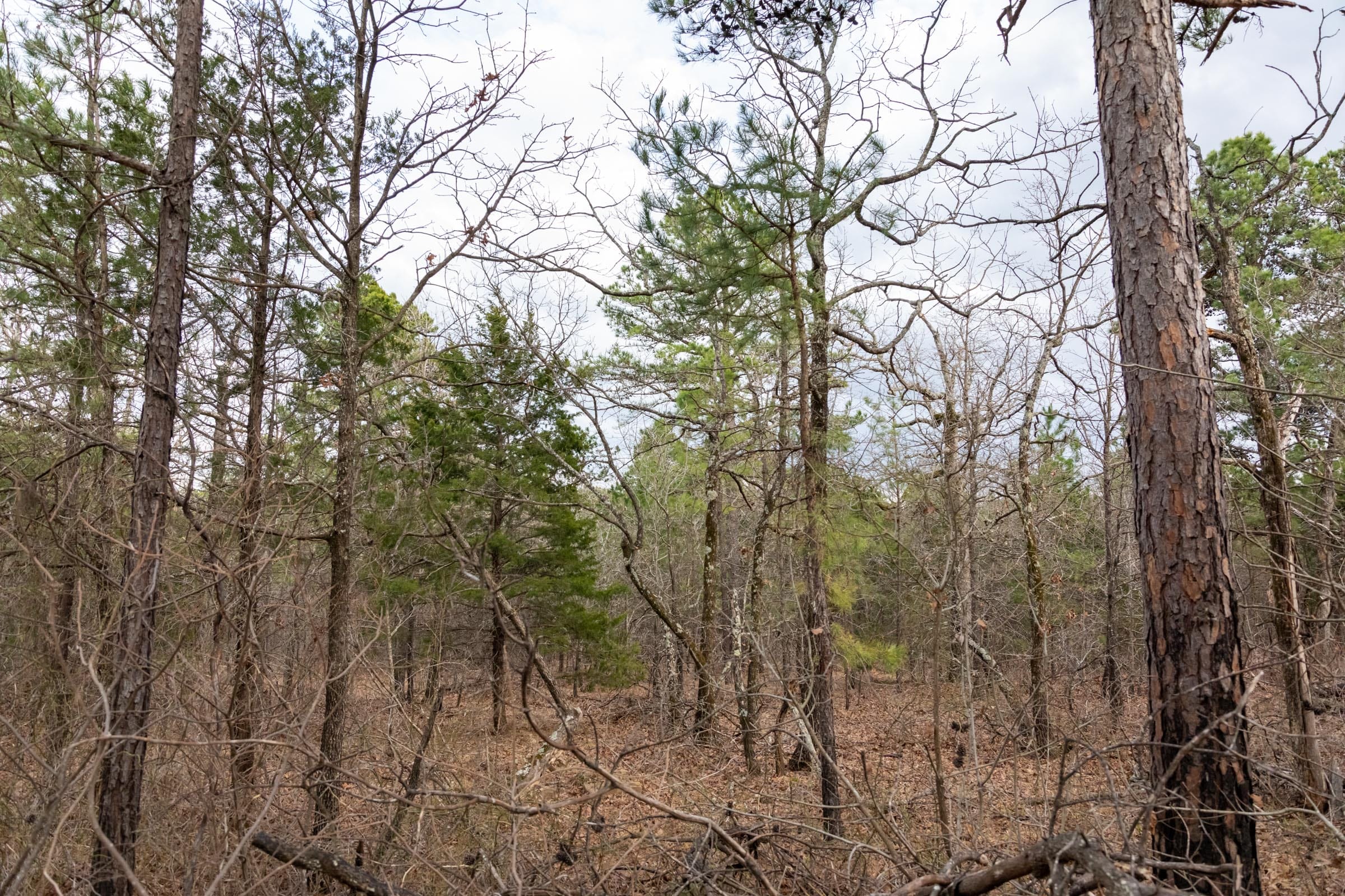 Stone Bridge Phase III Tract 181 photo 11