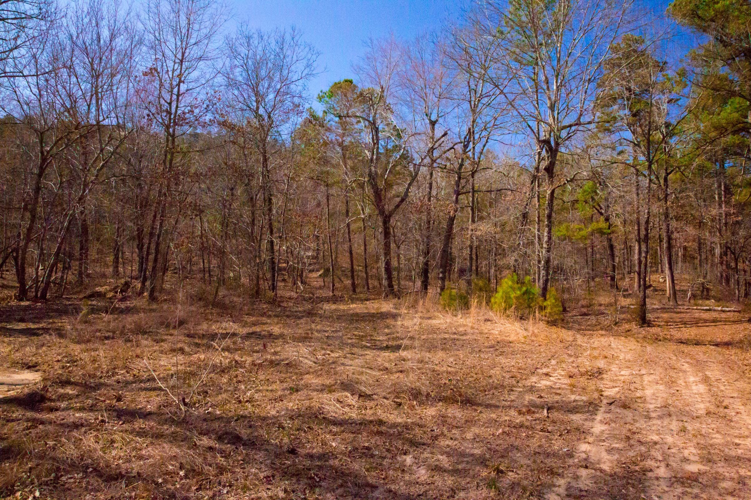 Stone Creek Phase II Tract 120 photo 3