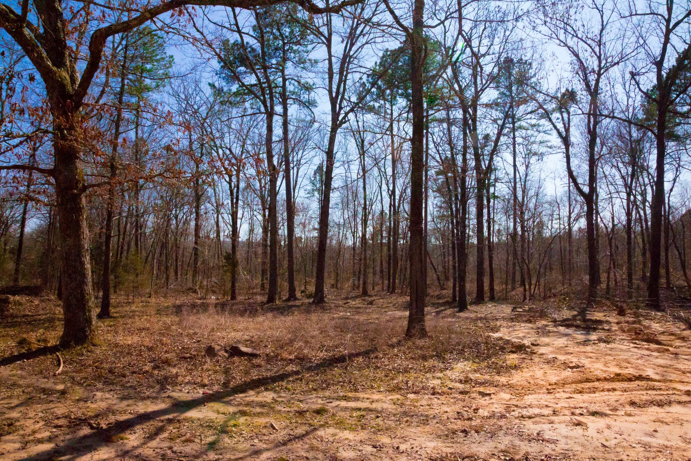 Stone Creek Phase II Tract 120 photo 4
