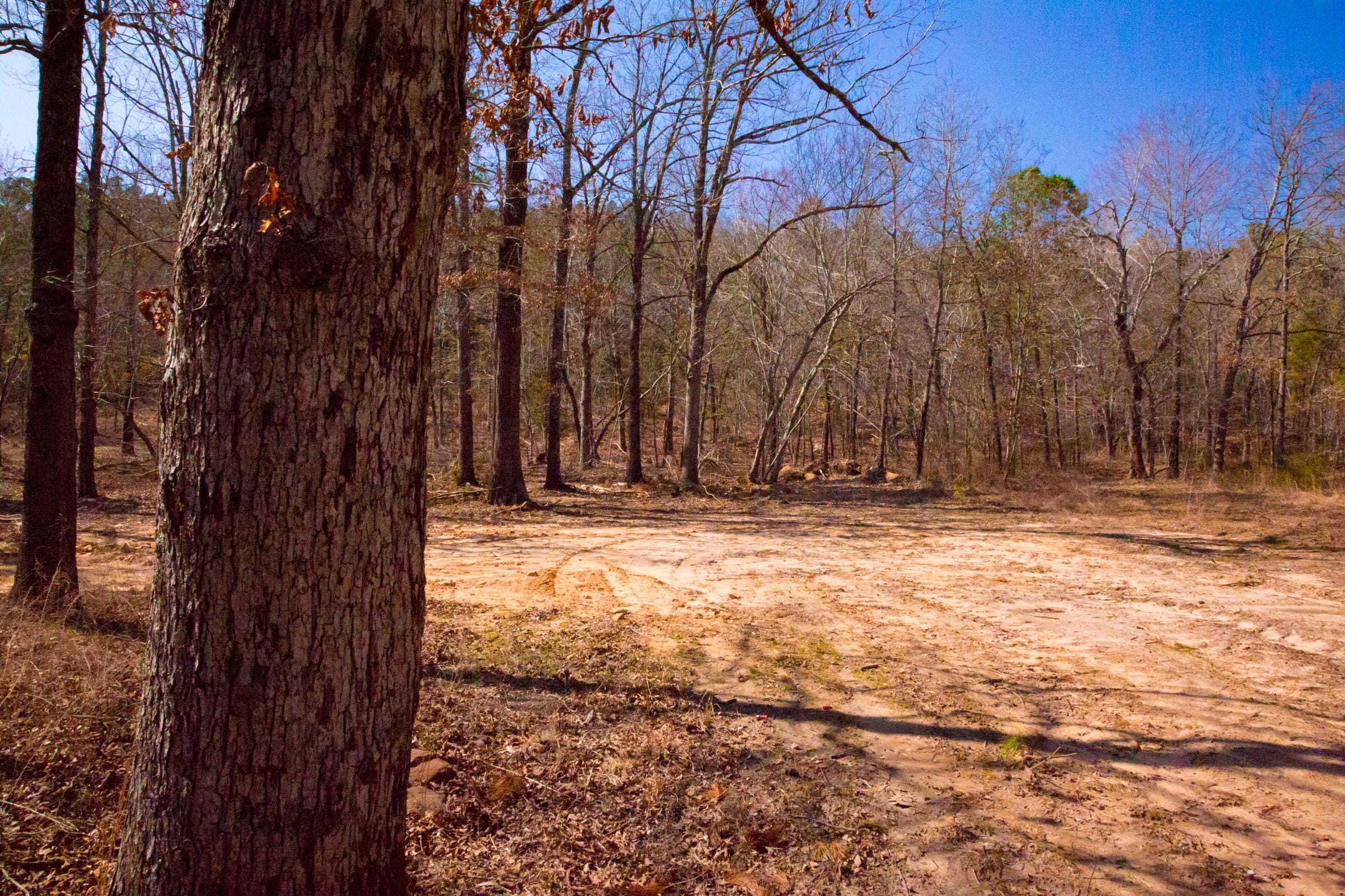 Stone Creek Phase II Tract 120 photo 6