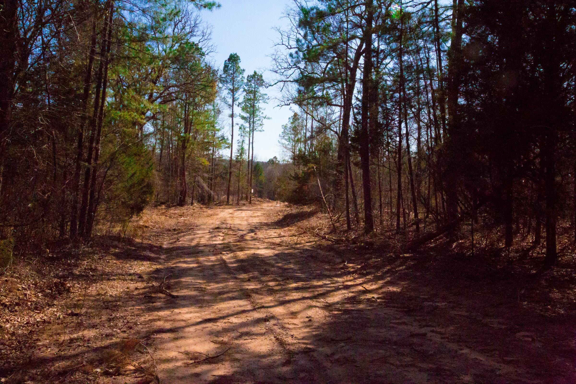 Stone Creek Phase II Tract 120 photo 10