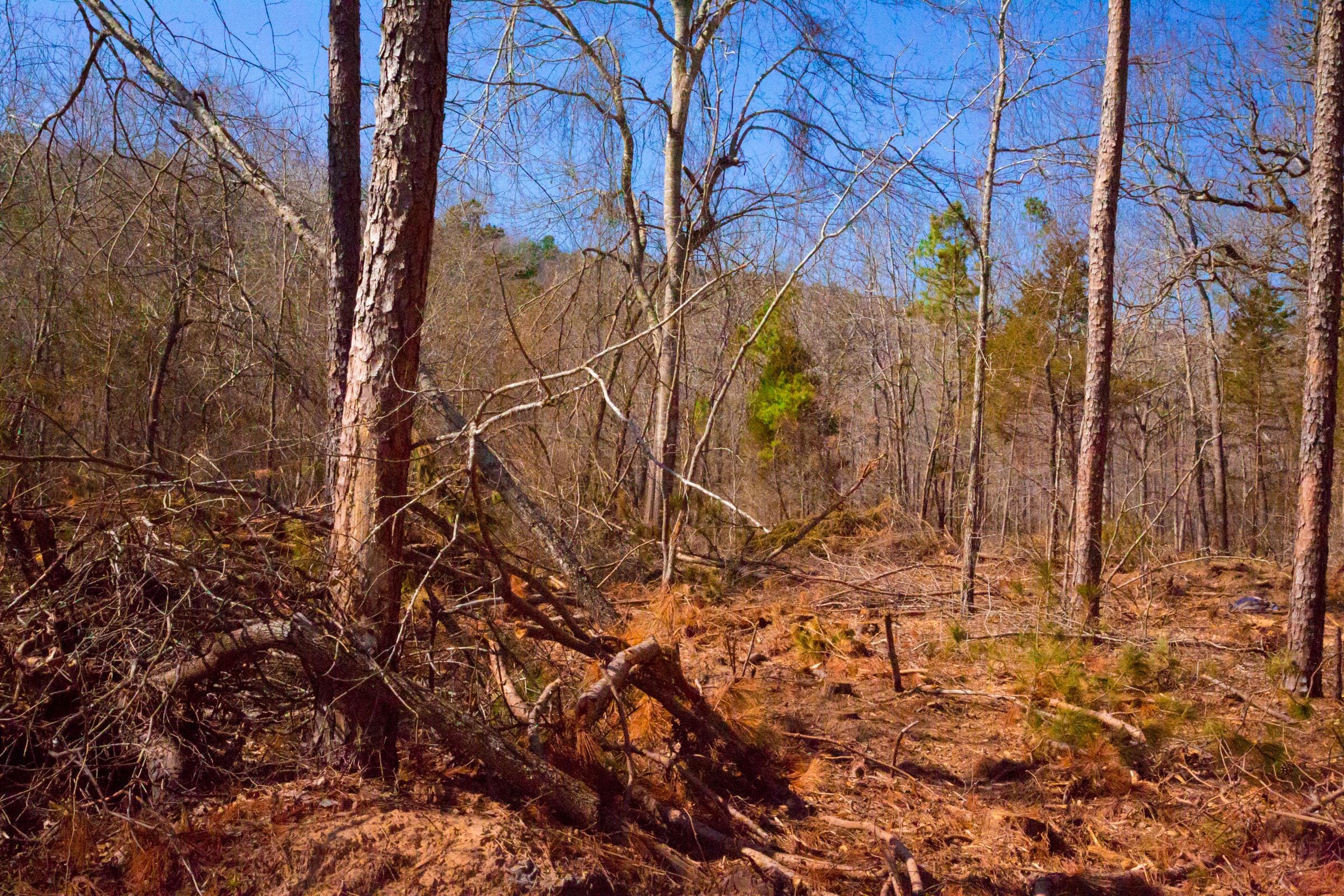 Stone Creek Phase II Tract 120 photo 11