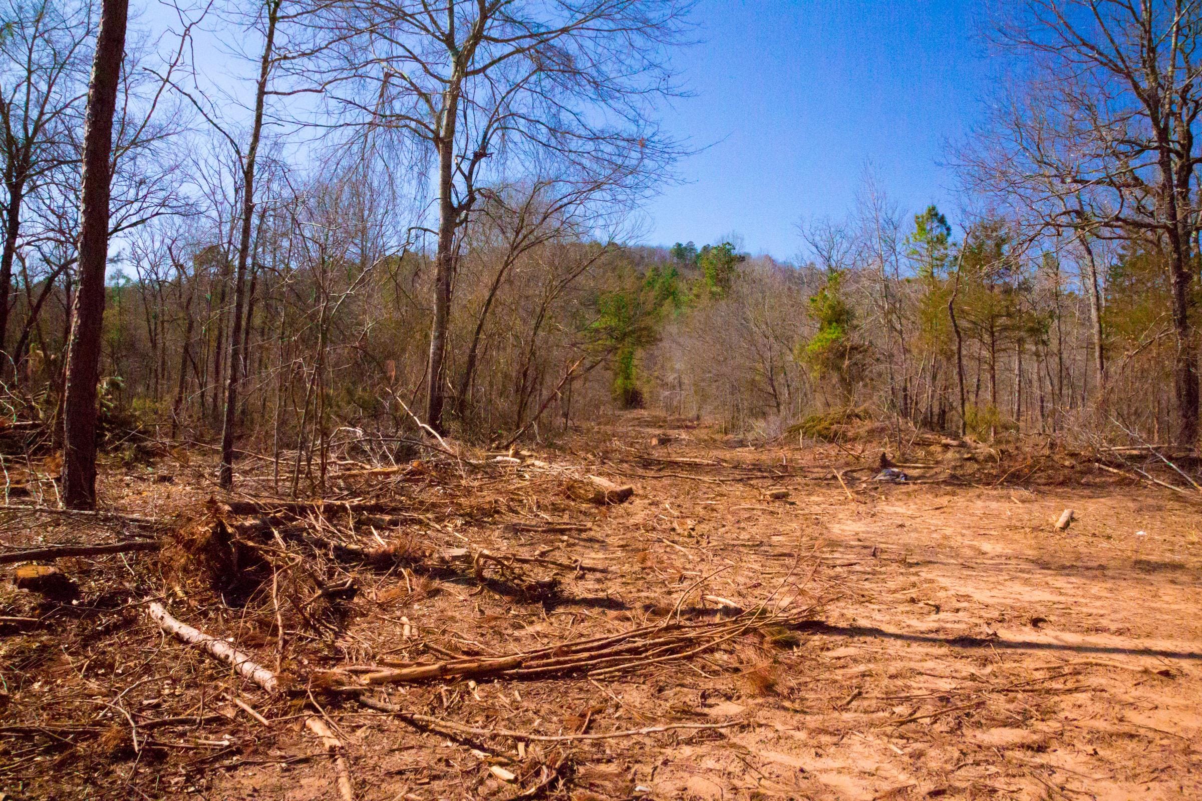 Stone Creek Phase II Tract 120 photo 12