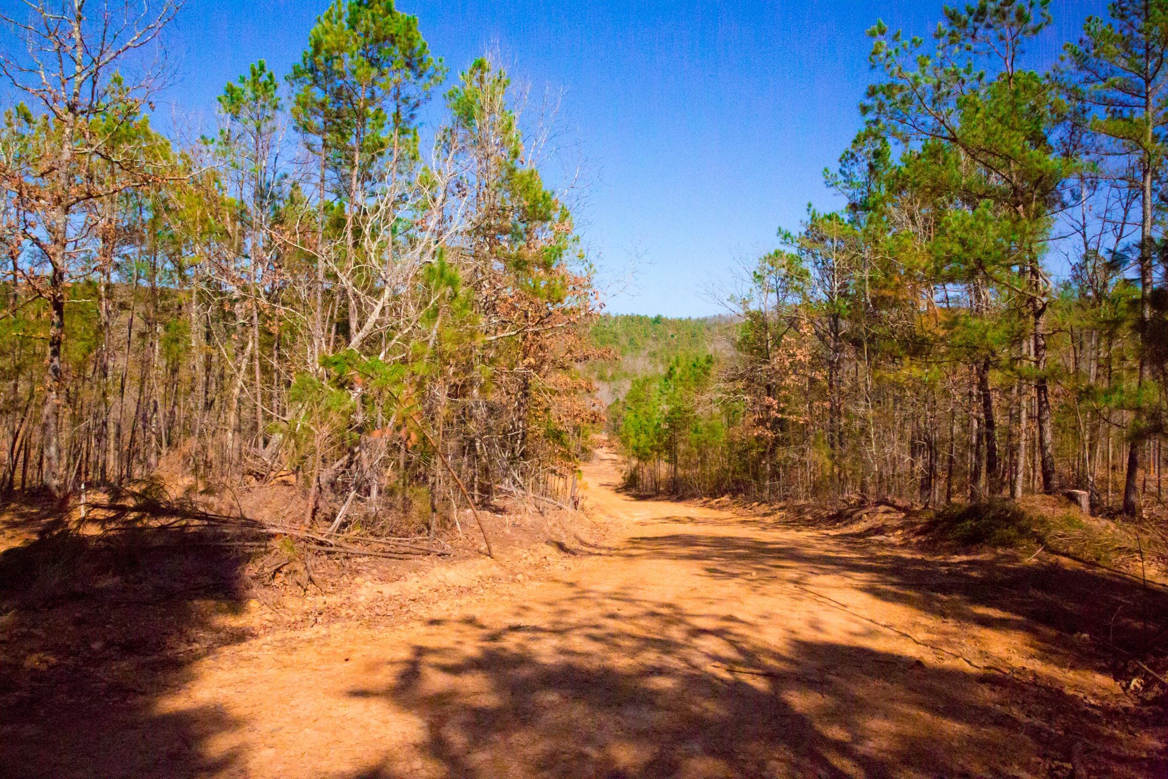 Stone Creek Phase II Tract 120 photo 2