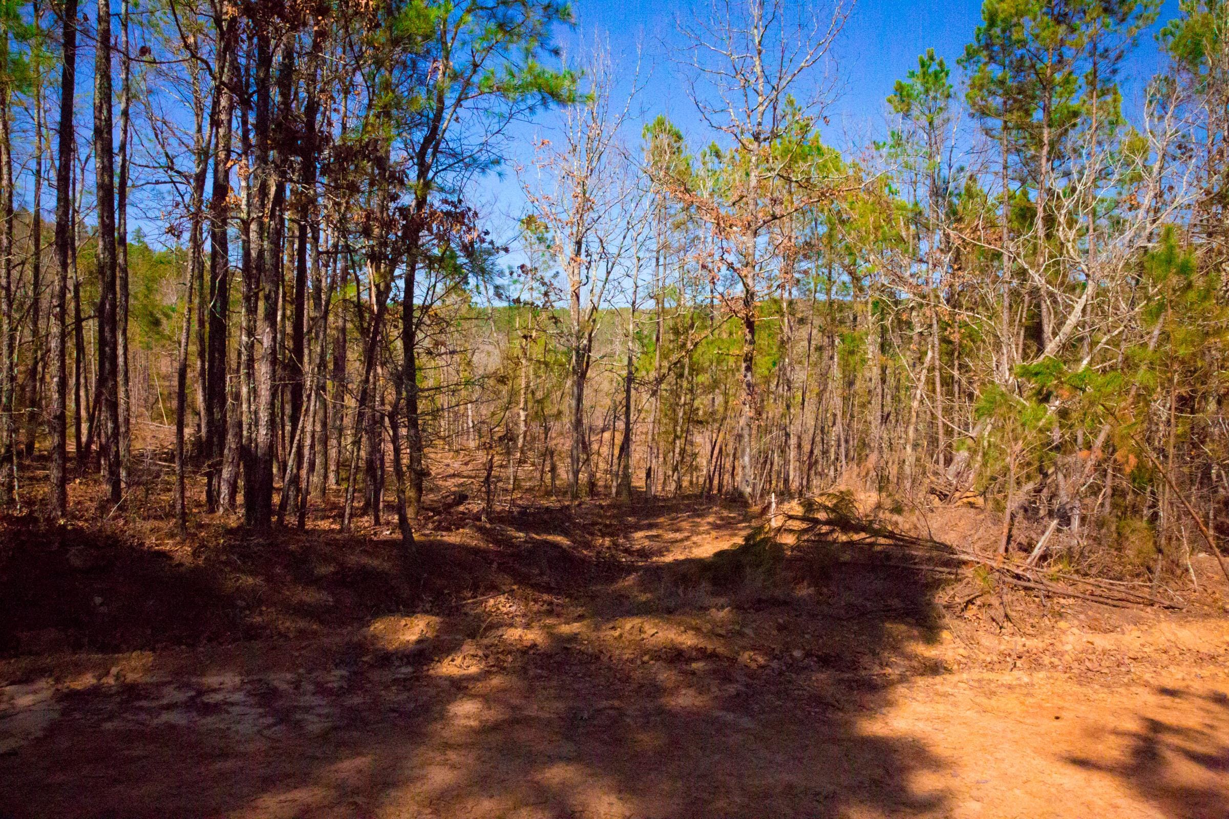 Stone Creek Phase II Tract 120 photo 13