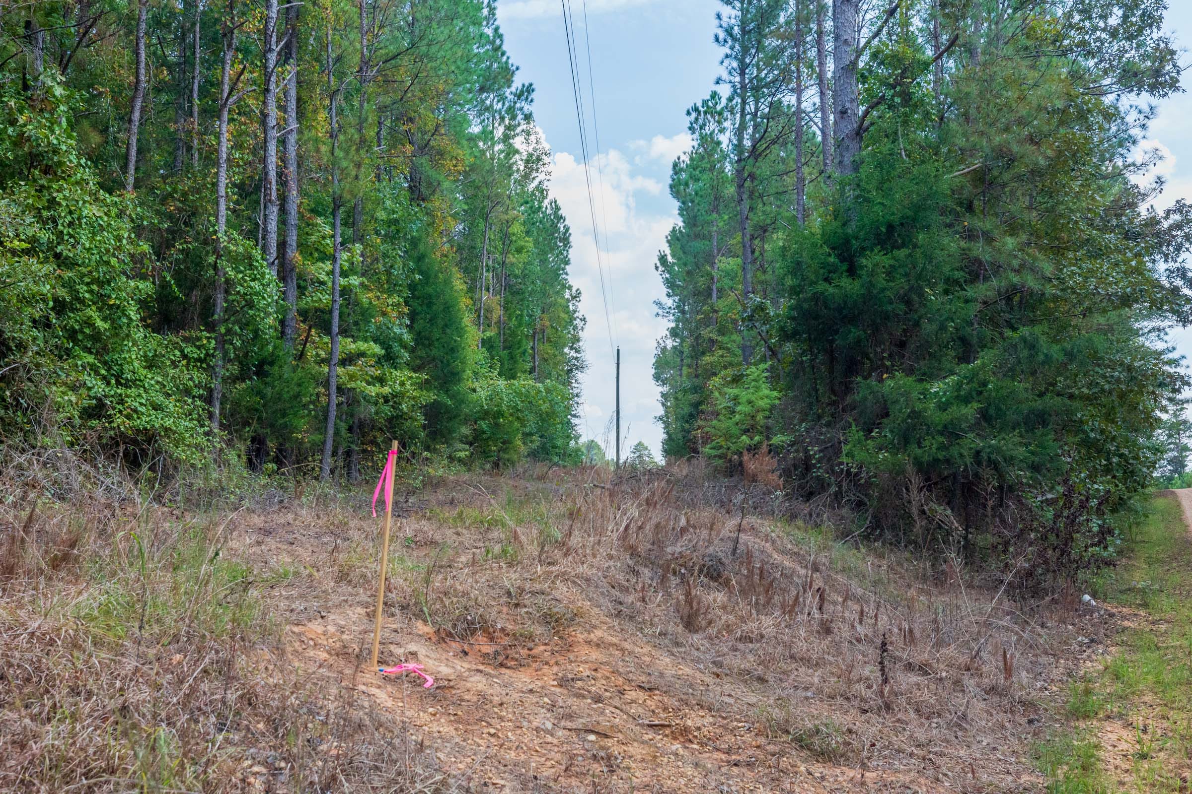 Willow Grove Tract 1 photo 12