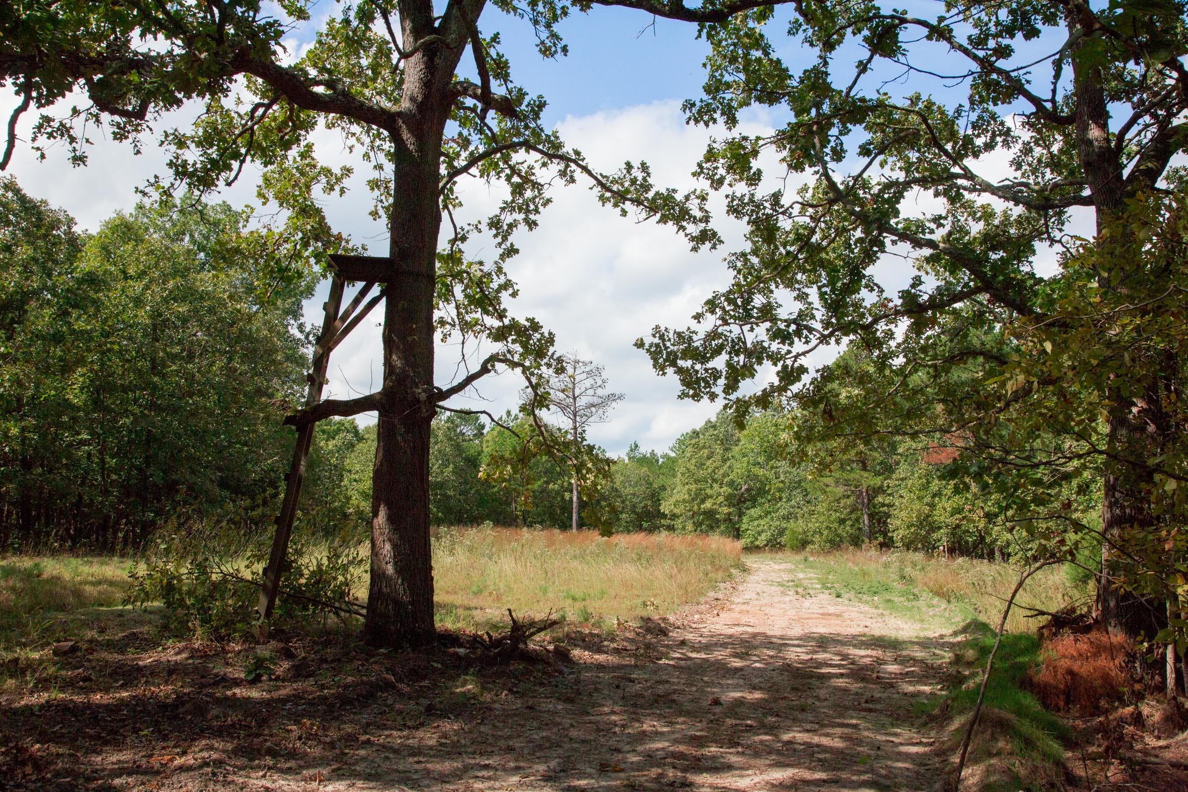 Wagon Wheel Ranch Tract 42 photo 4