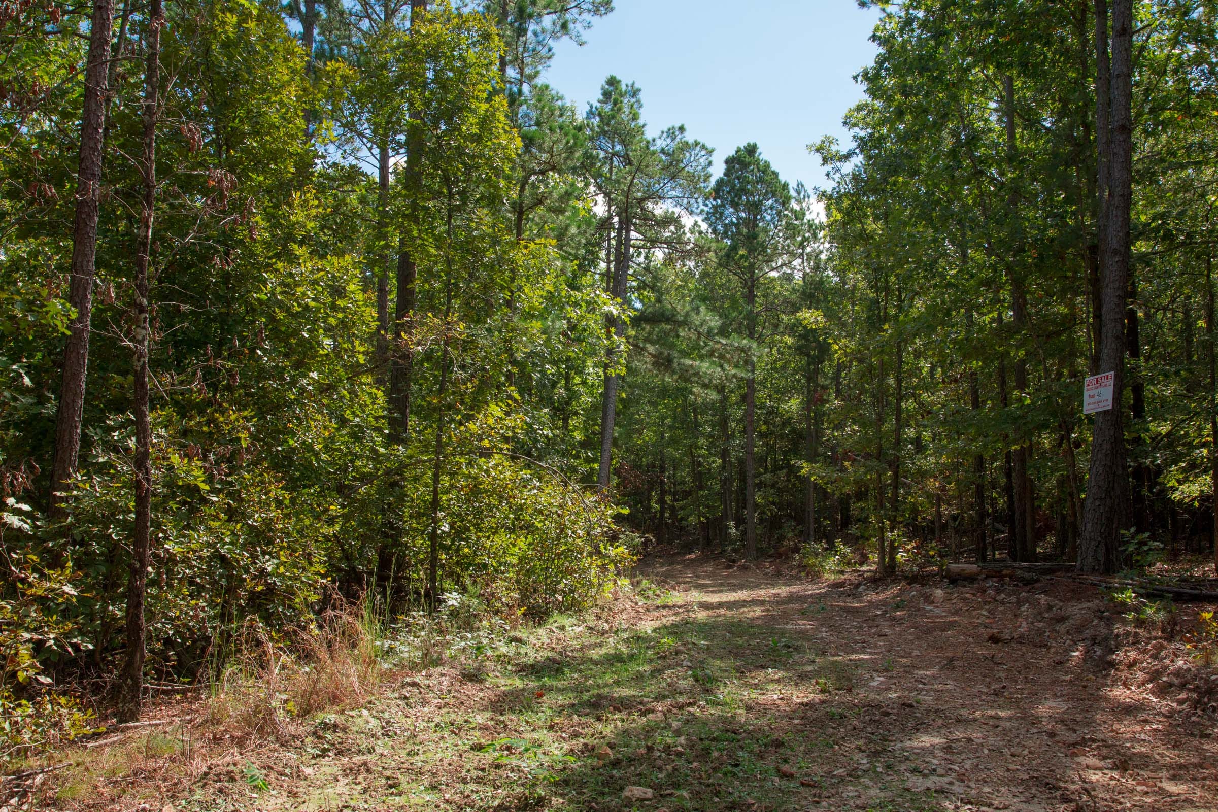 Wagon Wheel Ranch Tract 42 photo 1