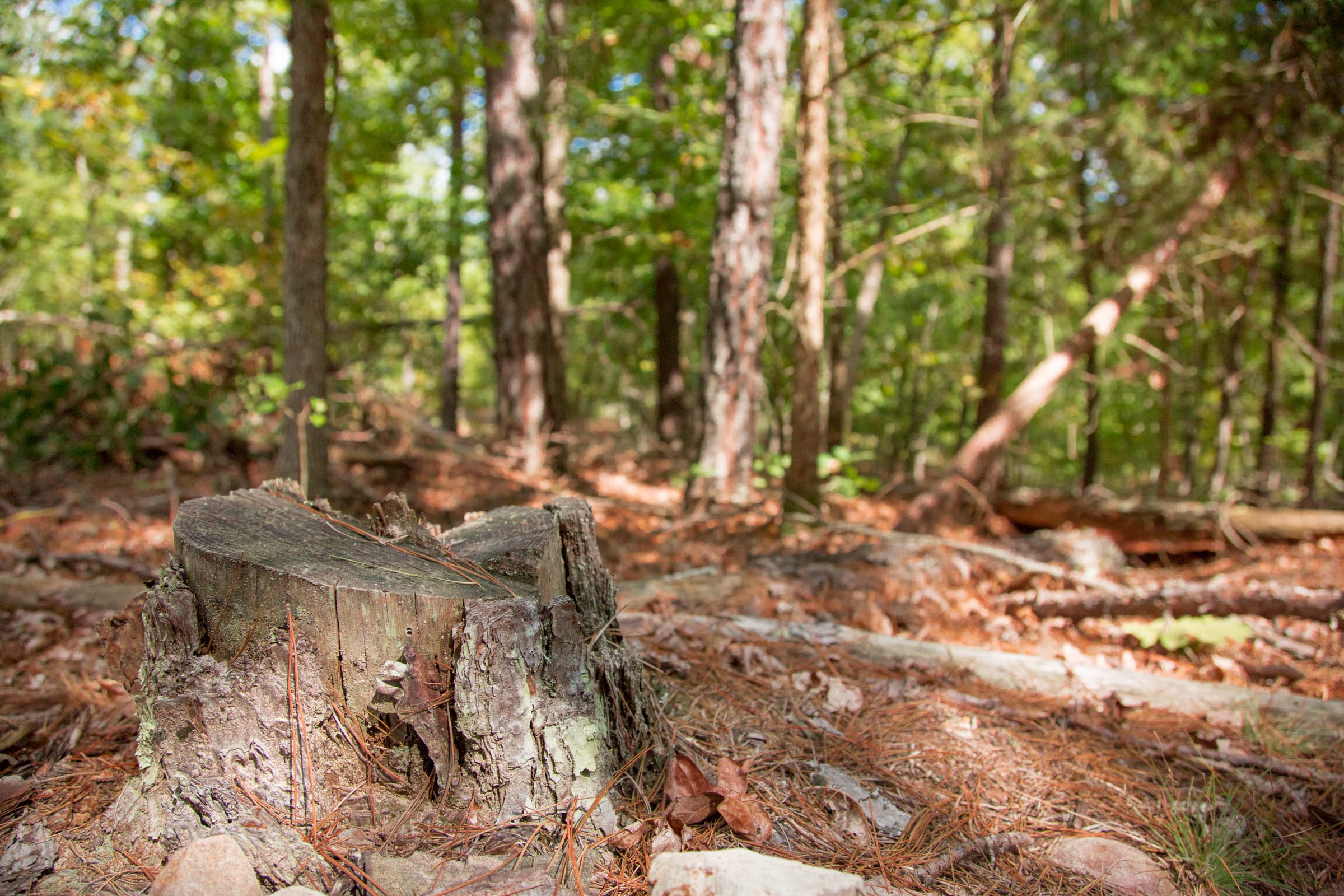 Wagon Wheel Ranch Tract 42 photo 7