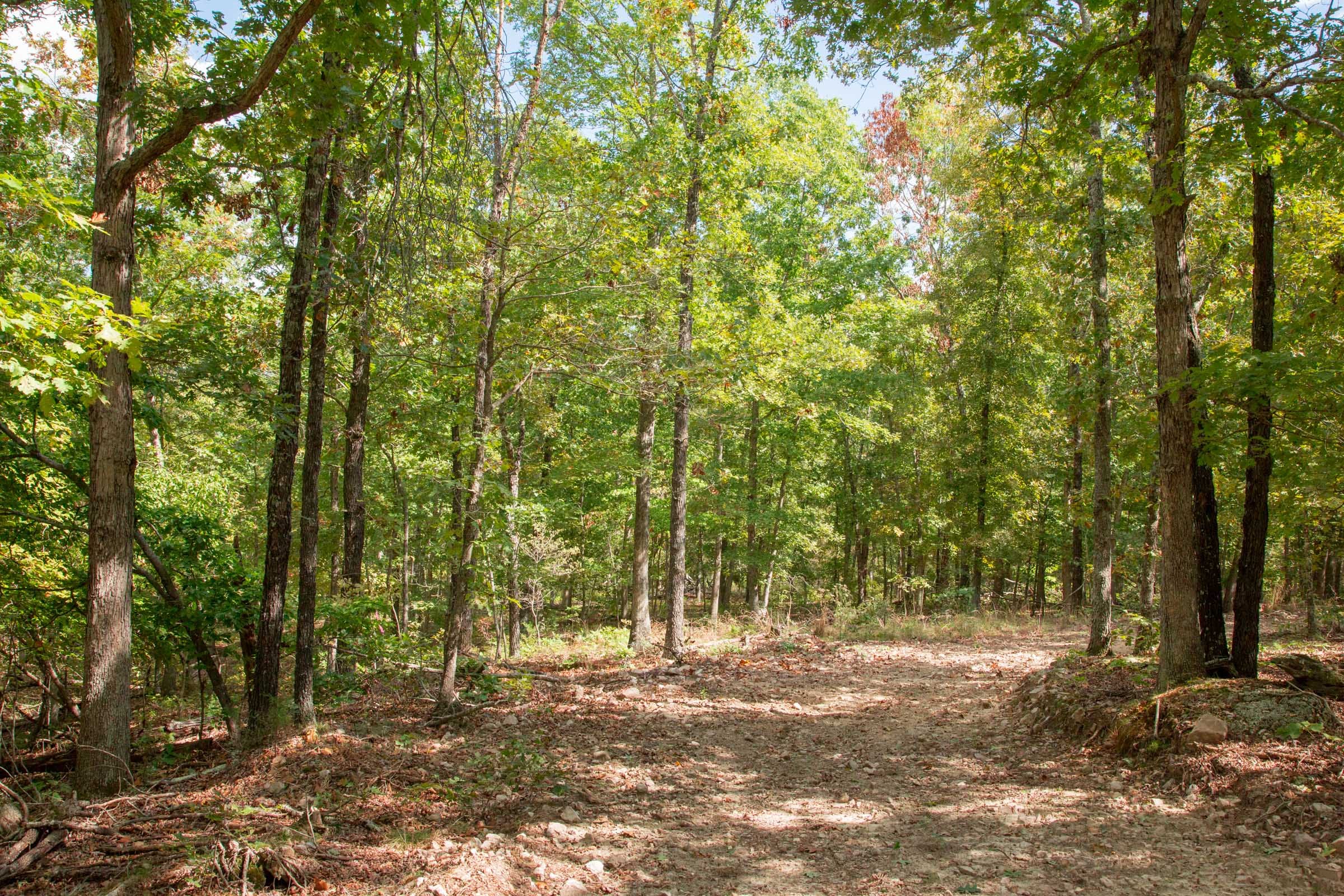 Wagon Wheel Ranch Tract 42 photo 2