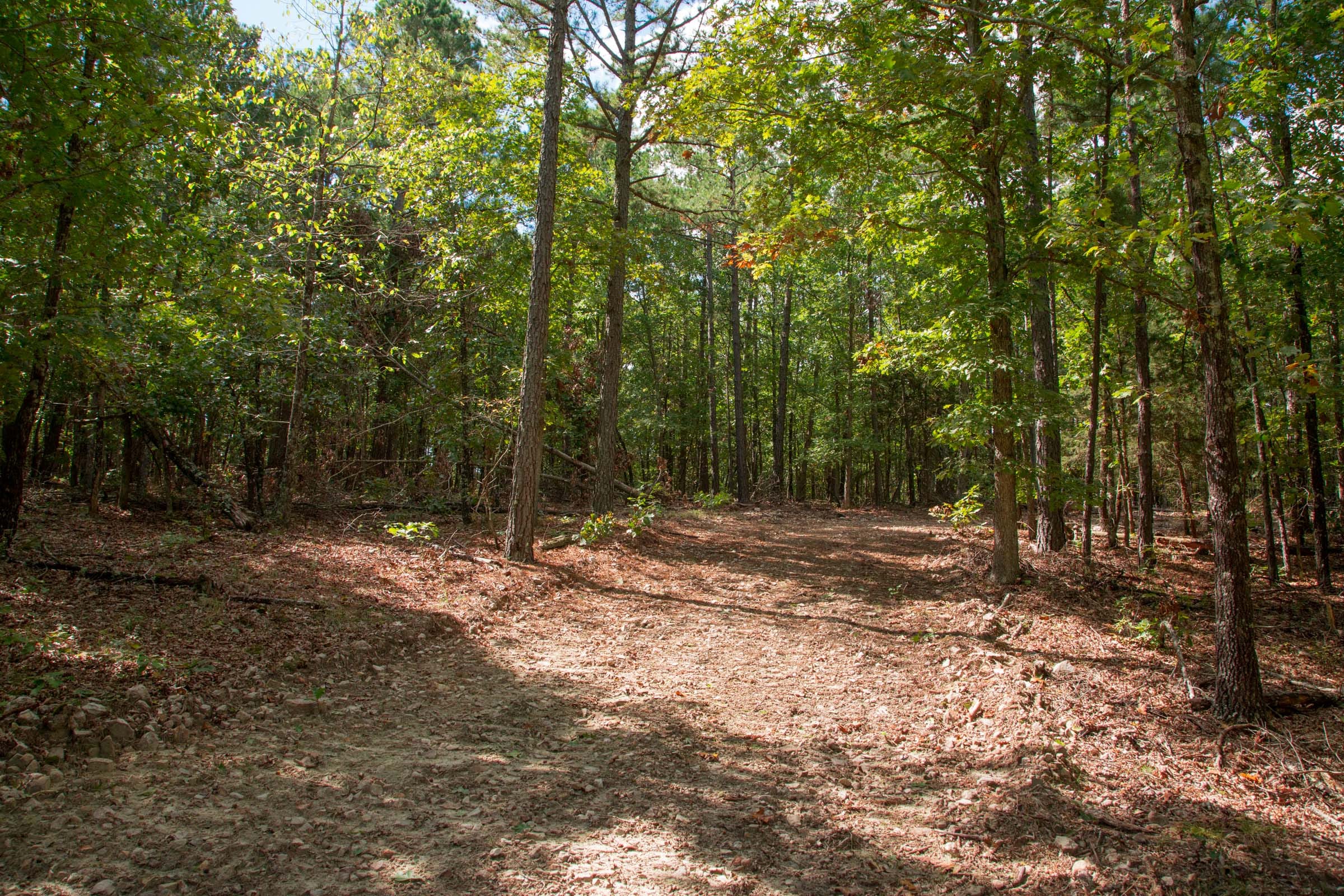 Wagon Wheel Ranch Tract 42 photo 11
