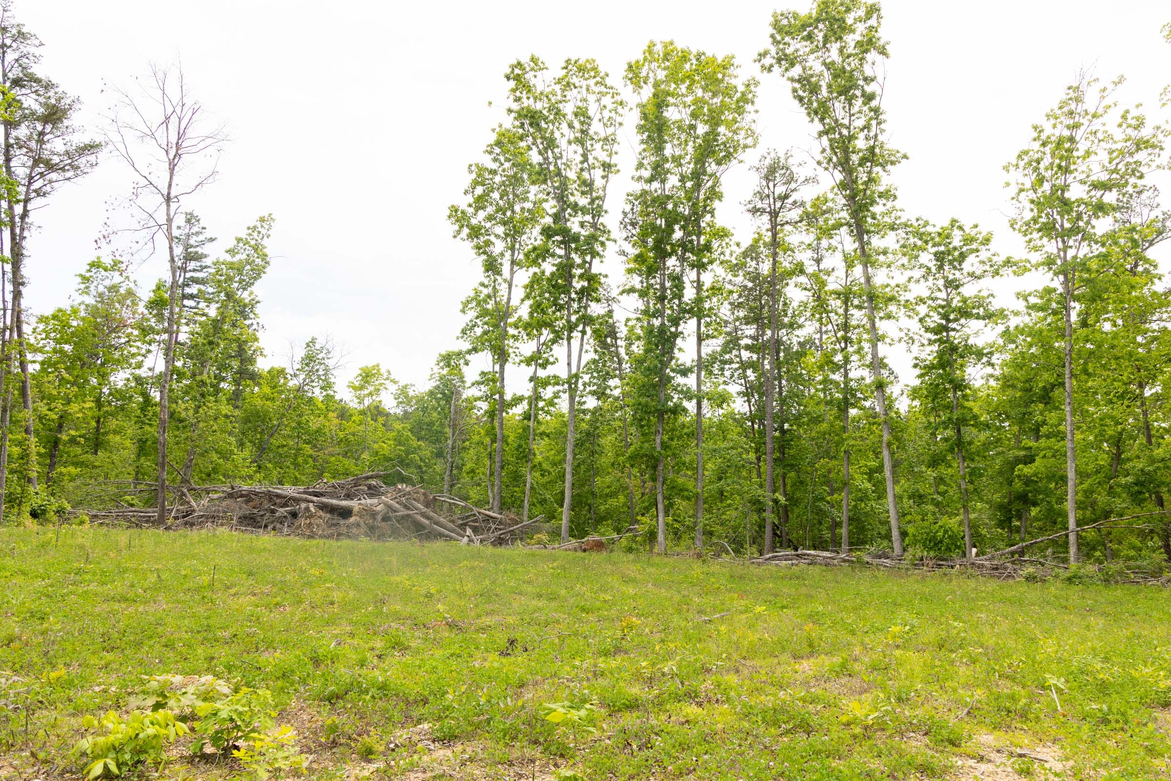 Stardust Estates Tract 7 photo 16