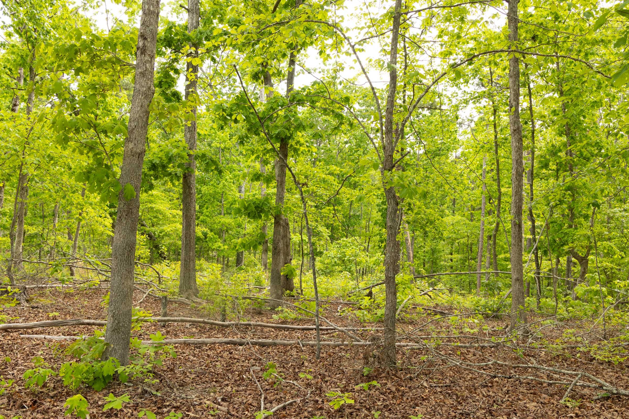 Stardust Estates Tract 7 photo 15