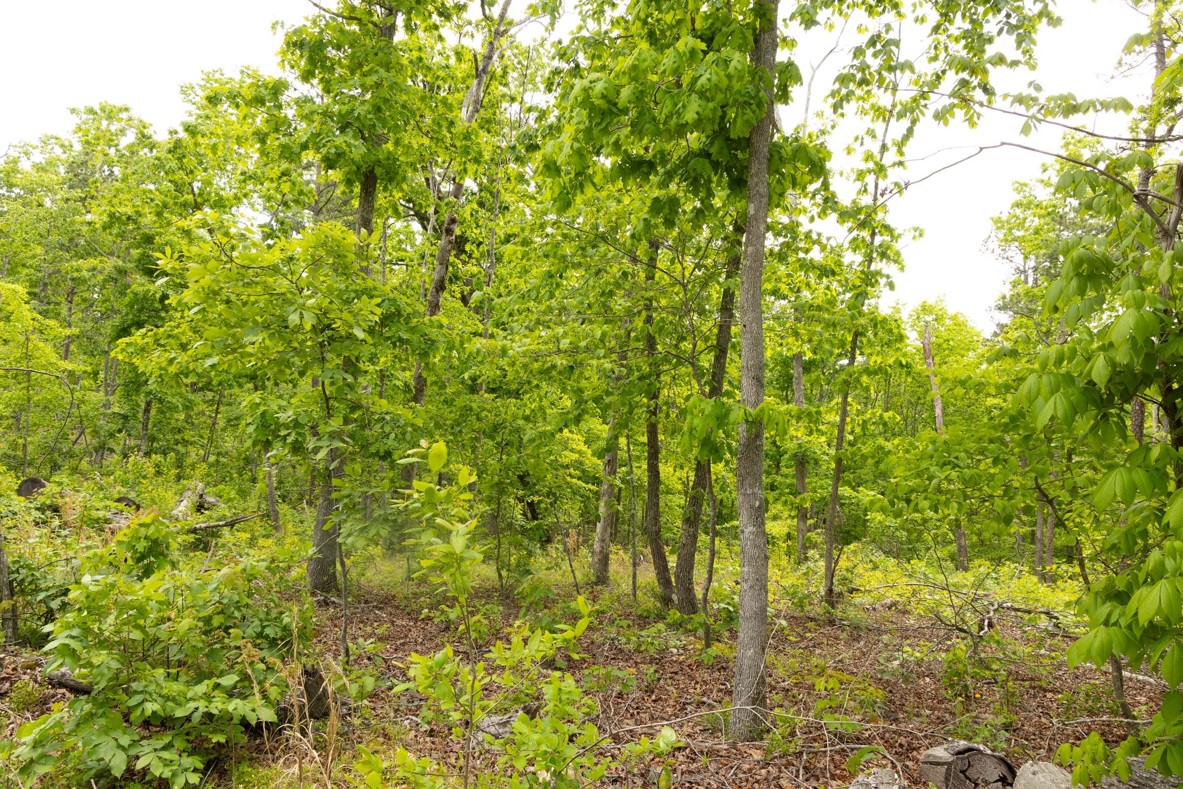 Stardust Estates Tract 7 photo 11