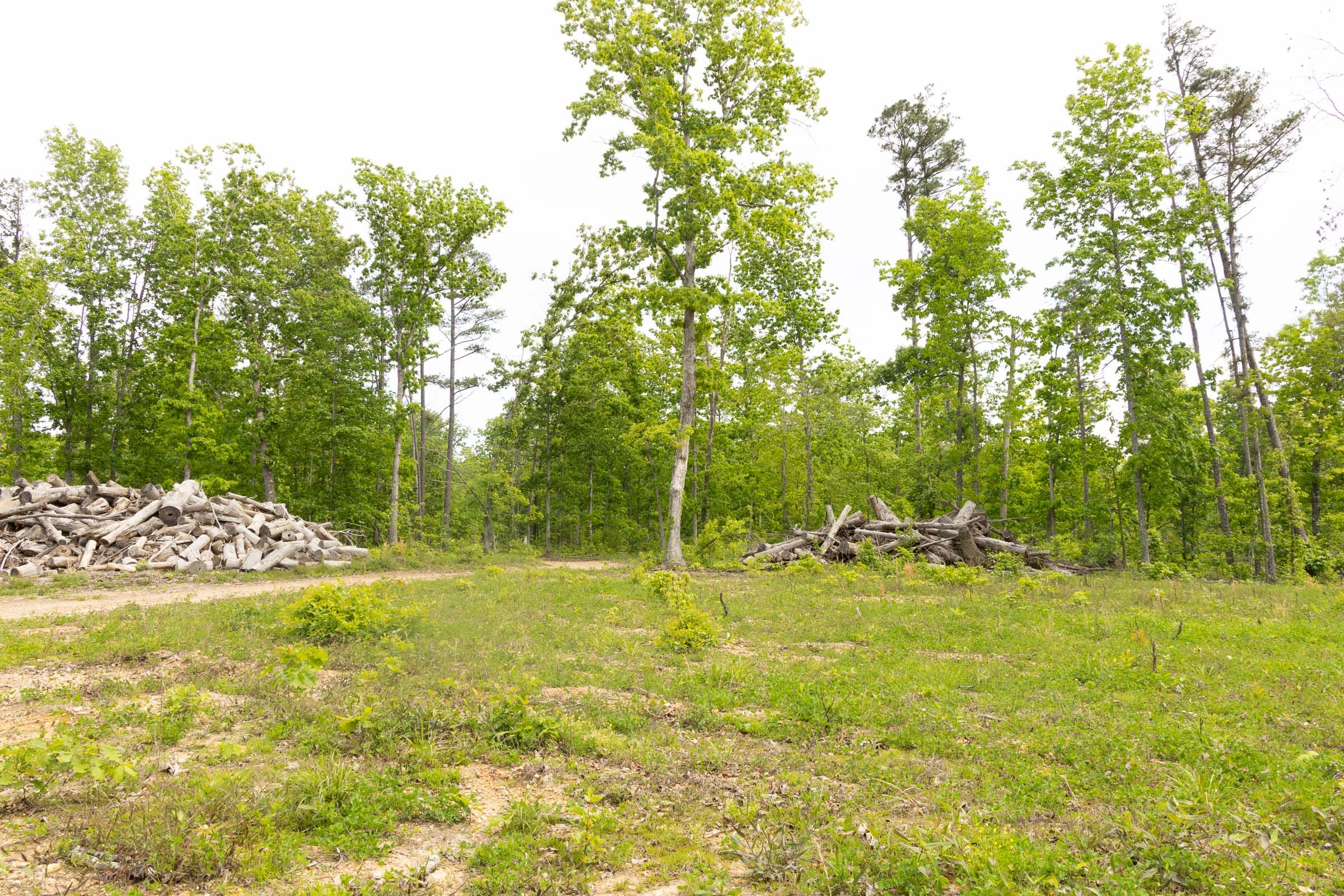 Stardust Estates Tract 7 photo 10