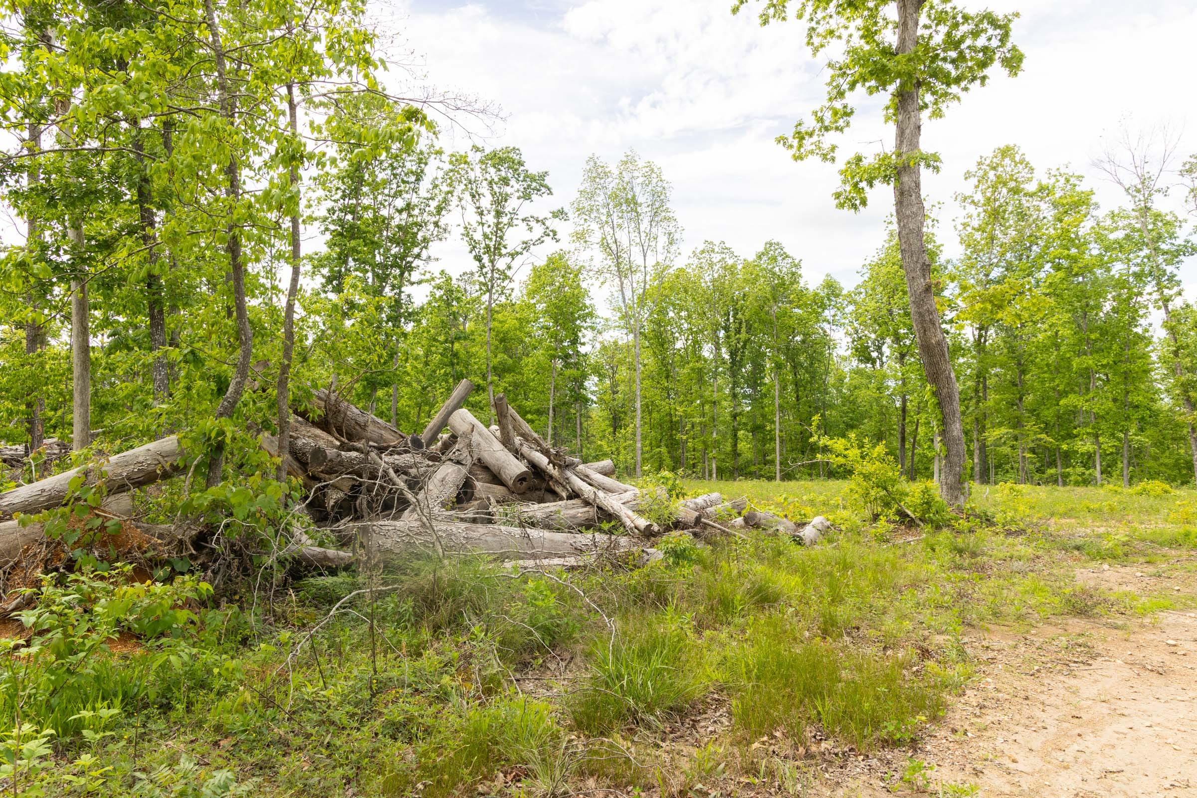 Stardust Estates Tract 7 photo 9