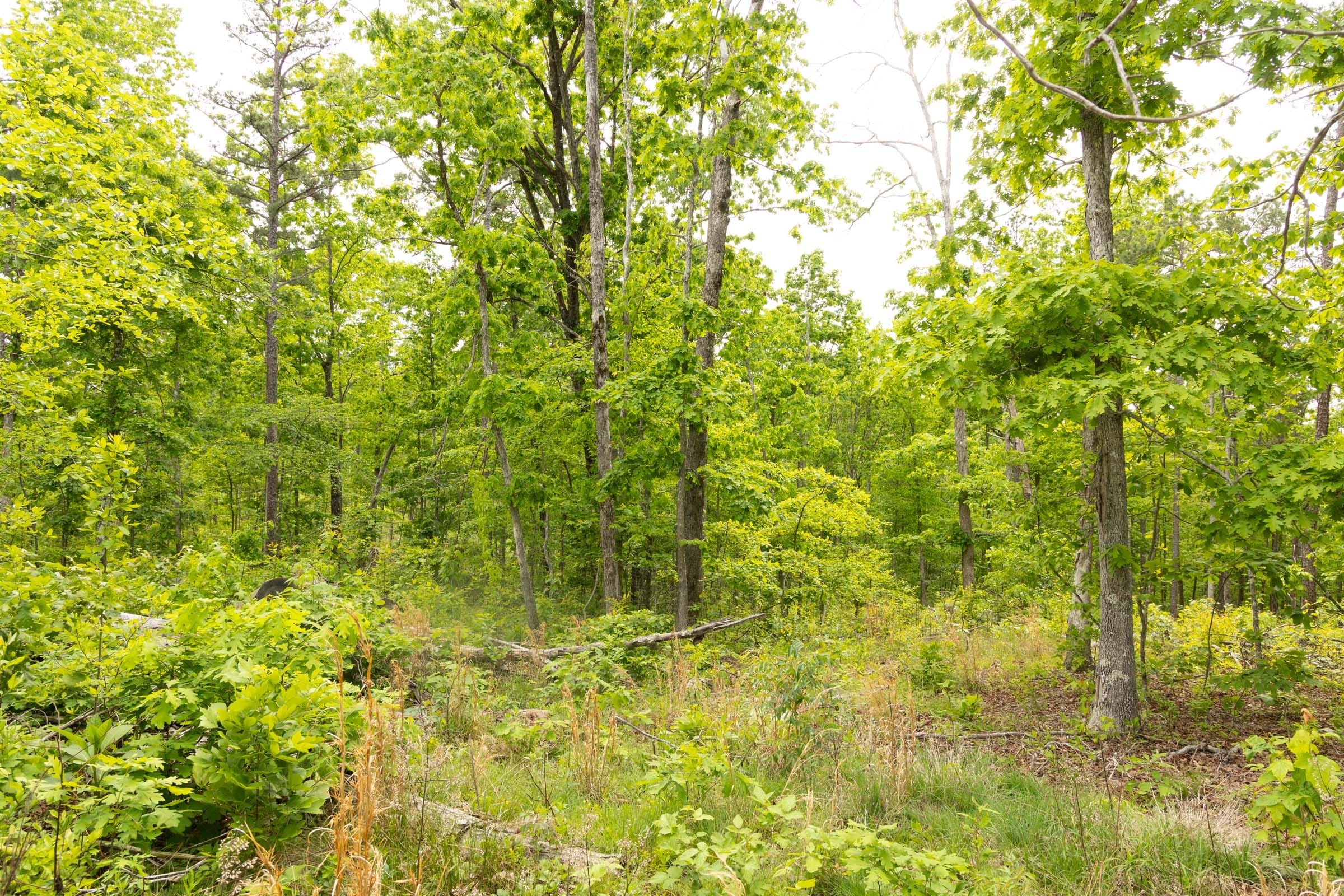 Stardust Estates Tract 7 photo 8