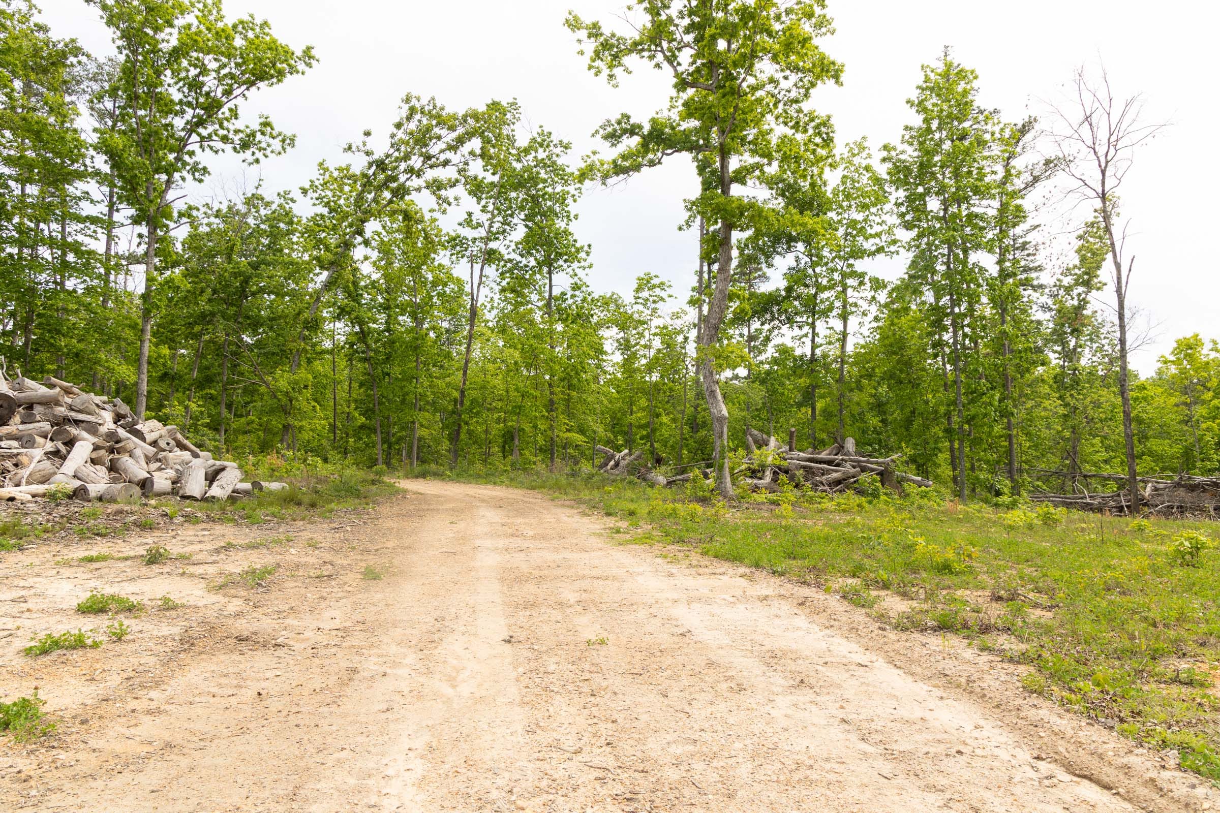 Stardust Estates Tract 7 photo 7