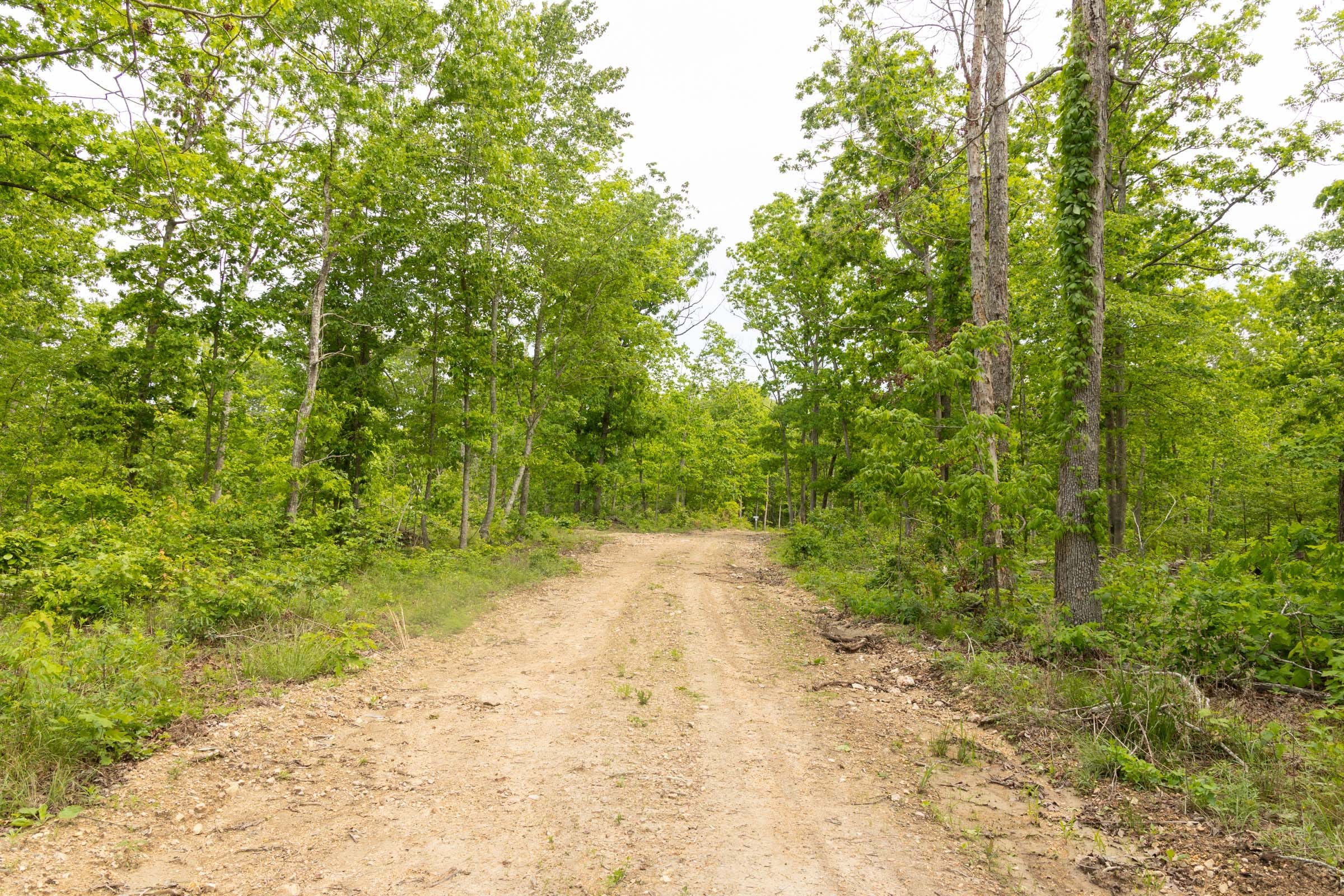 Stardust Estates Tract 7 photo 2