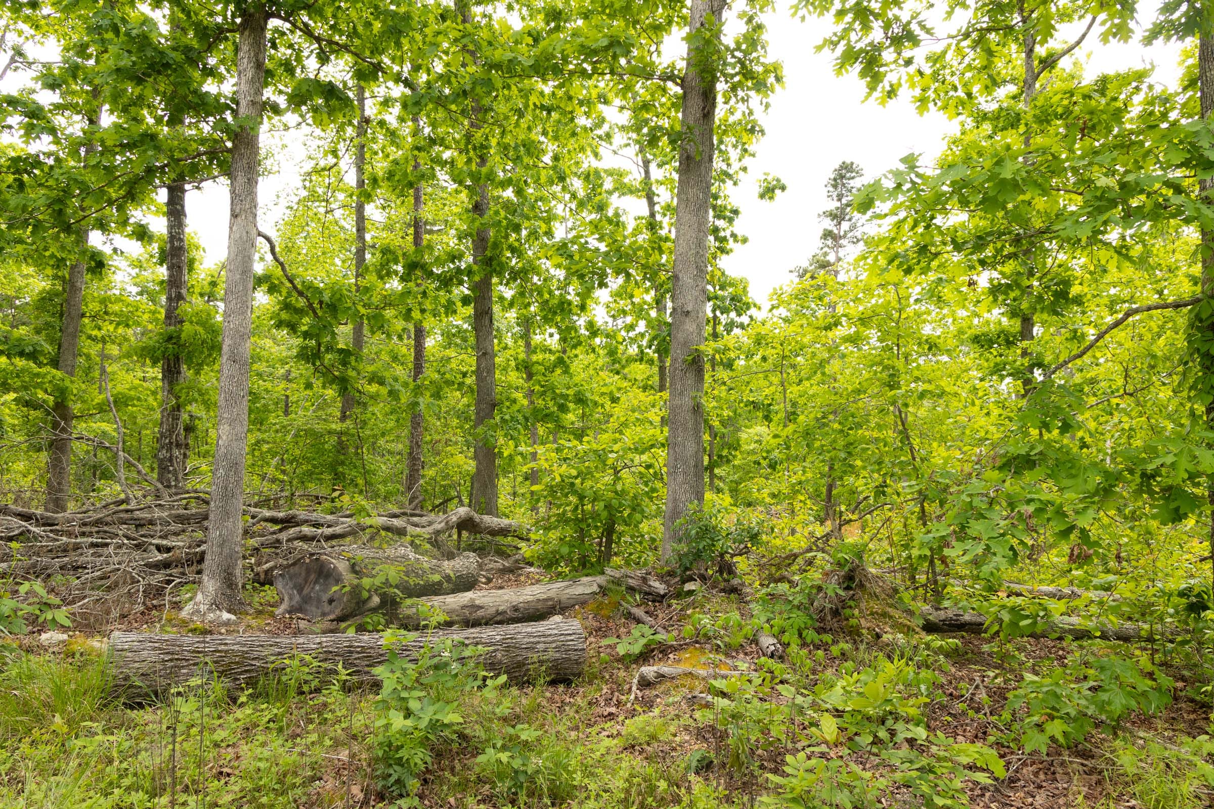 Stardust Estates Tract 7 photo 6