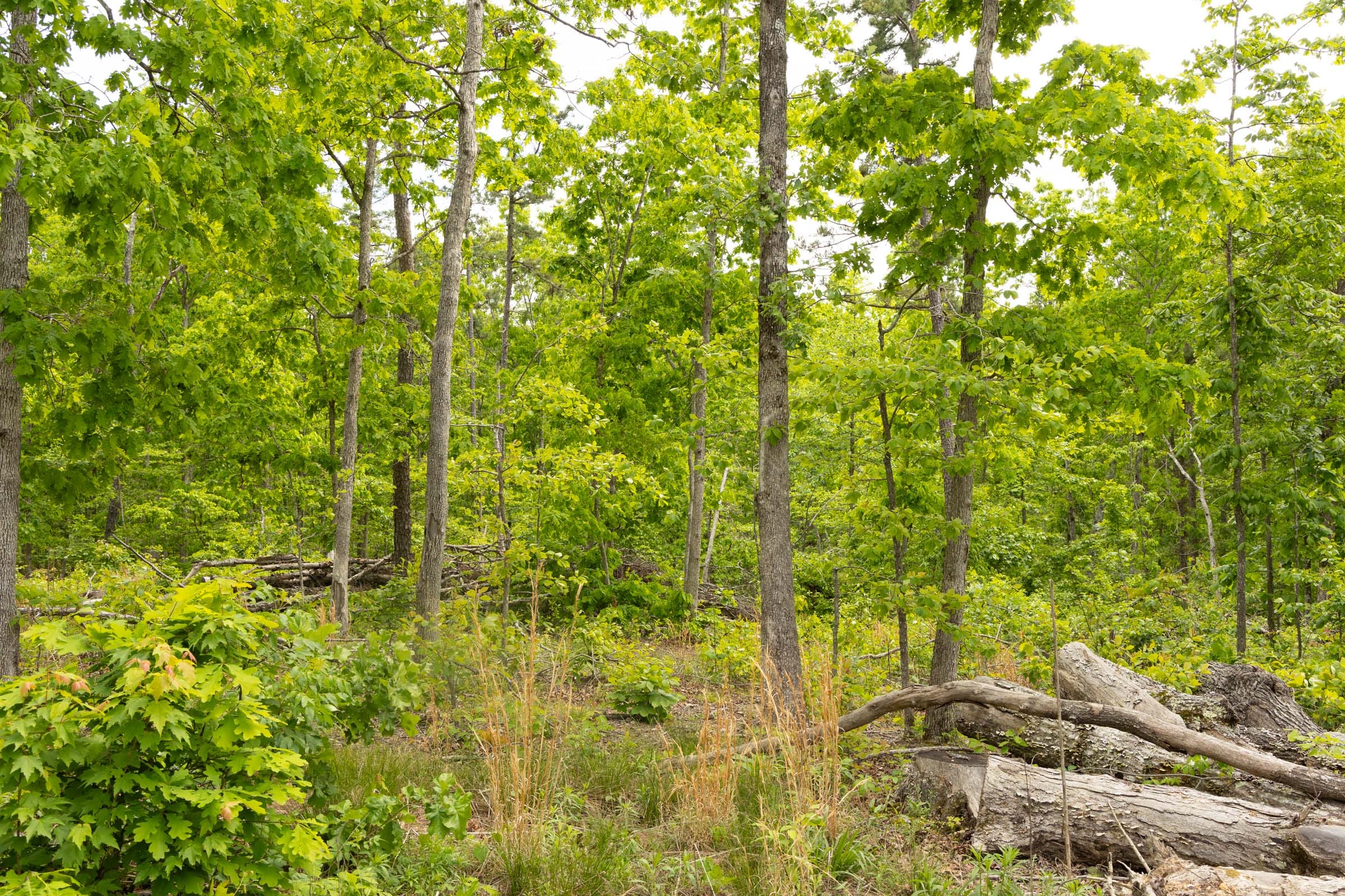 Stardust Estates Tract 7 photo 5