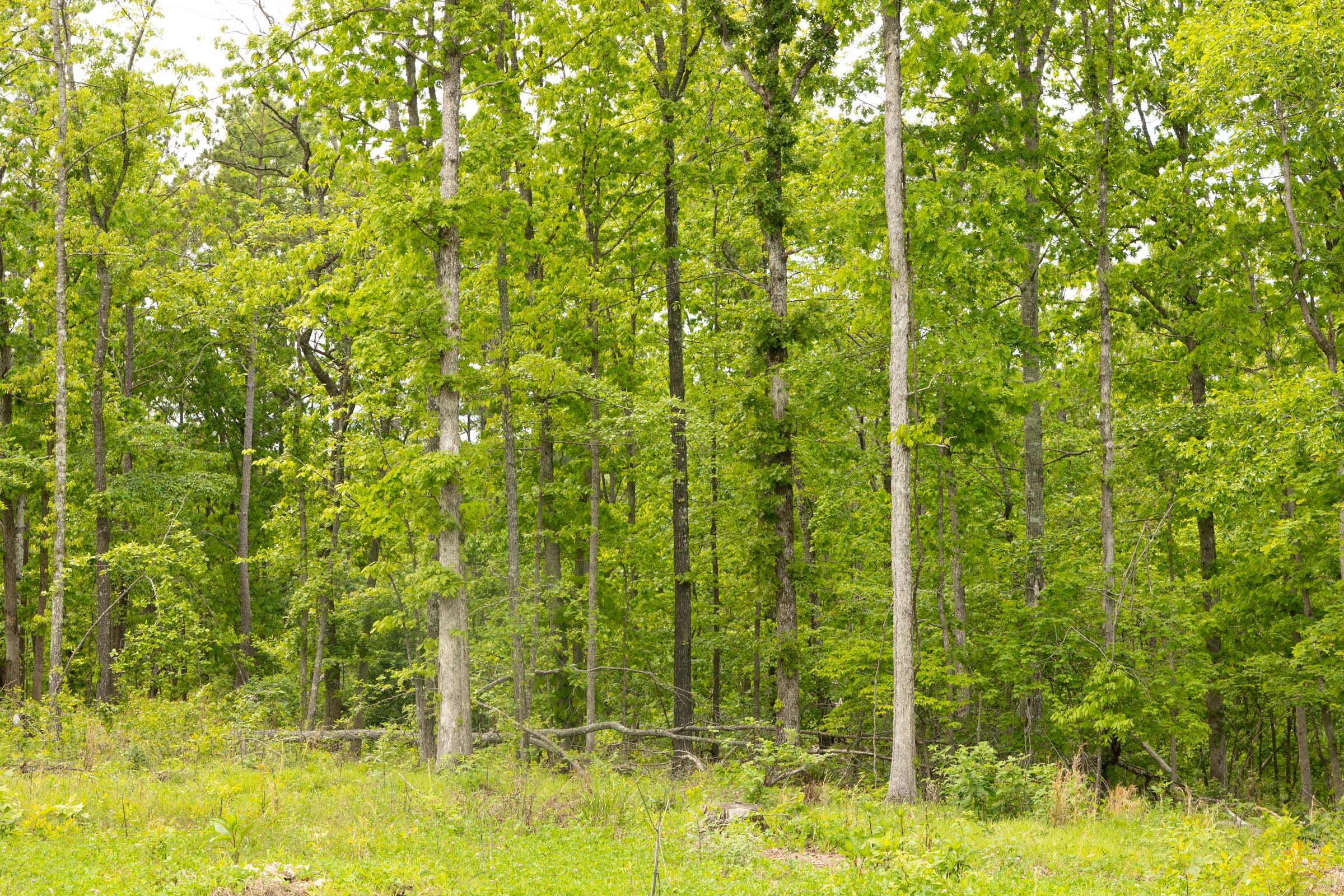 Stardust Estates Tract 7 photo 3