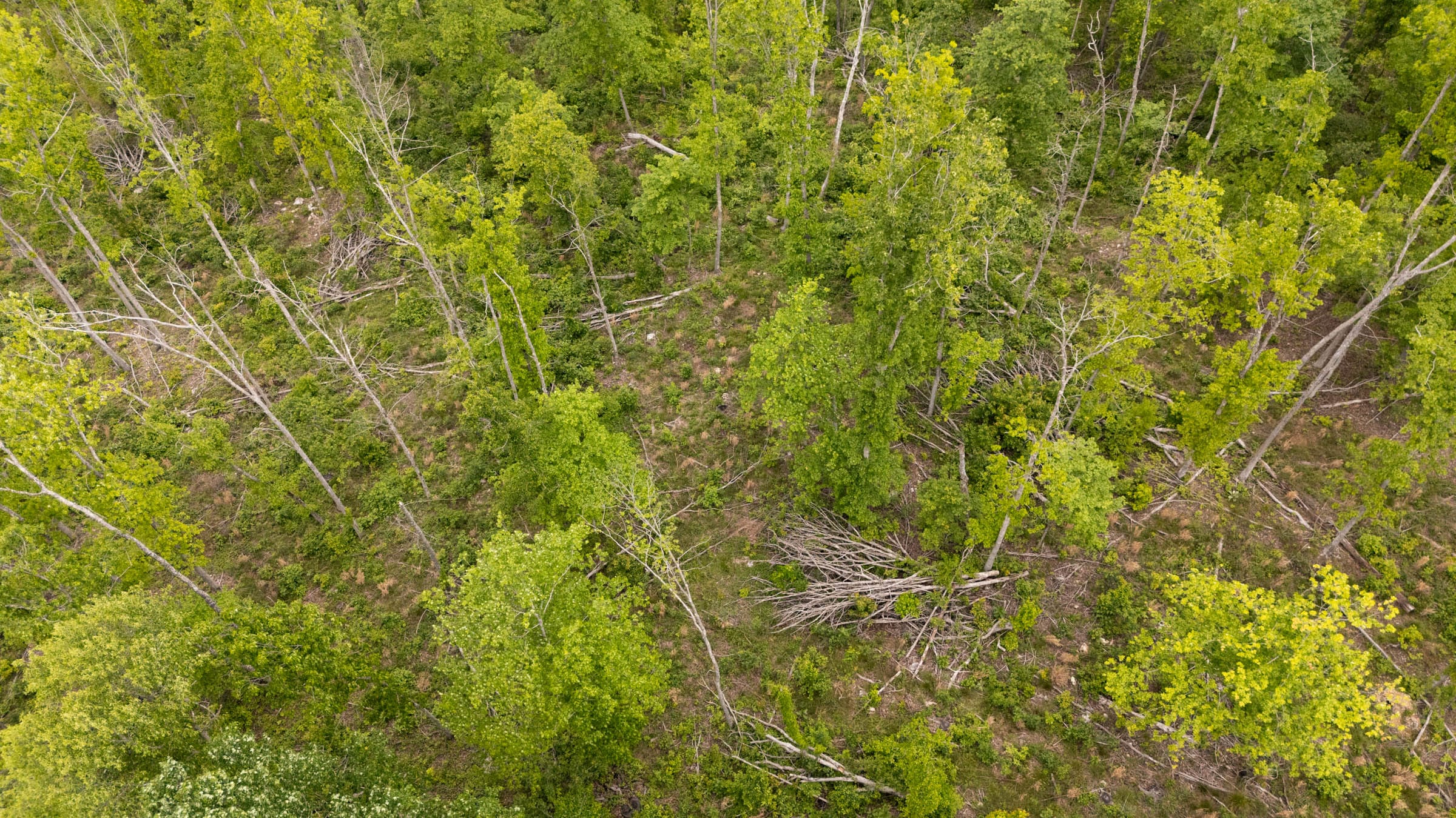 Stardust Estates Tract 8 photo 1