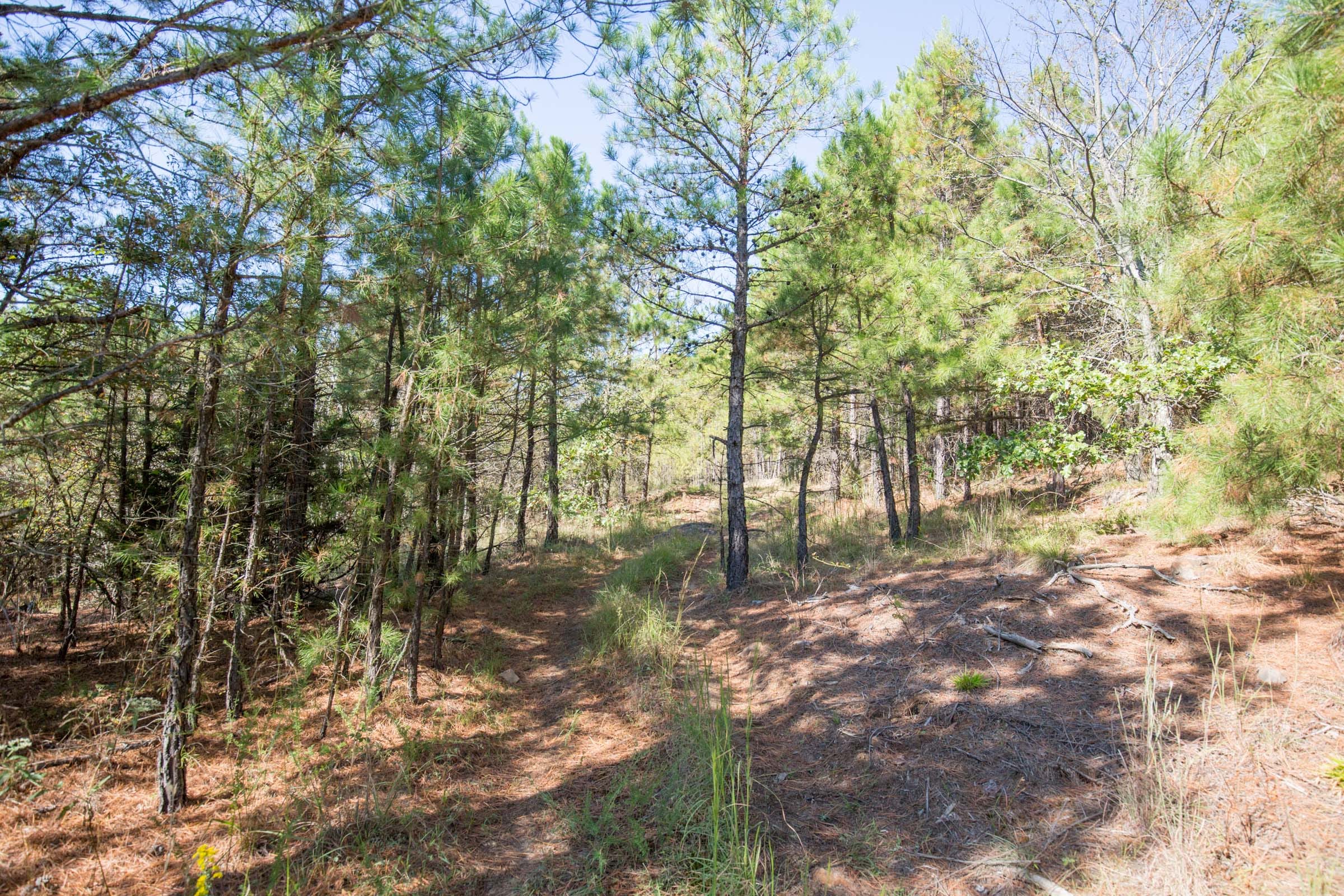 Stone Bridge Phase I Tract 33 photo 8