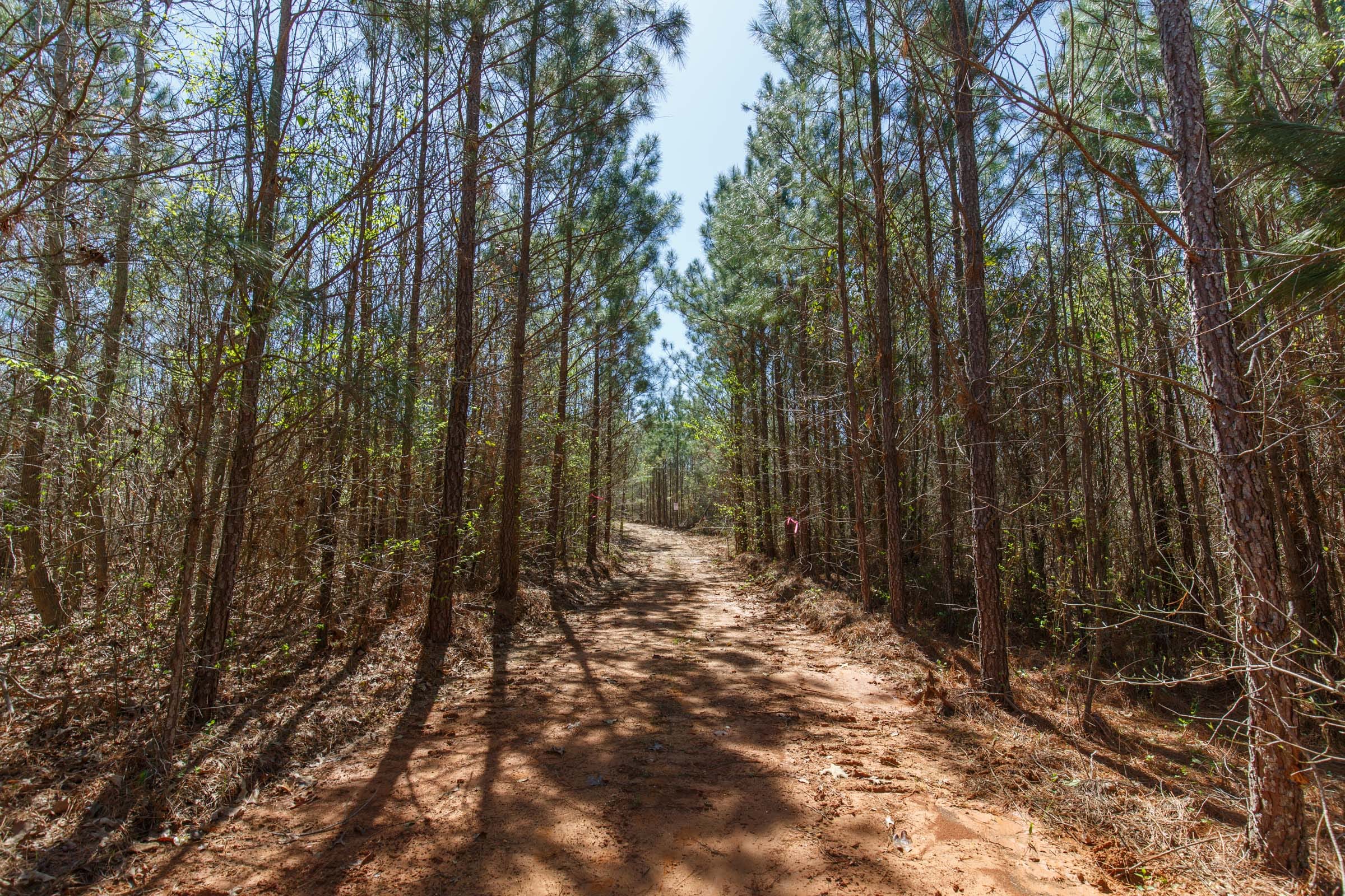 Southern Hills Tract 7 photo 6