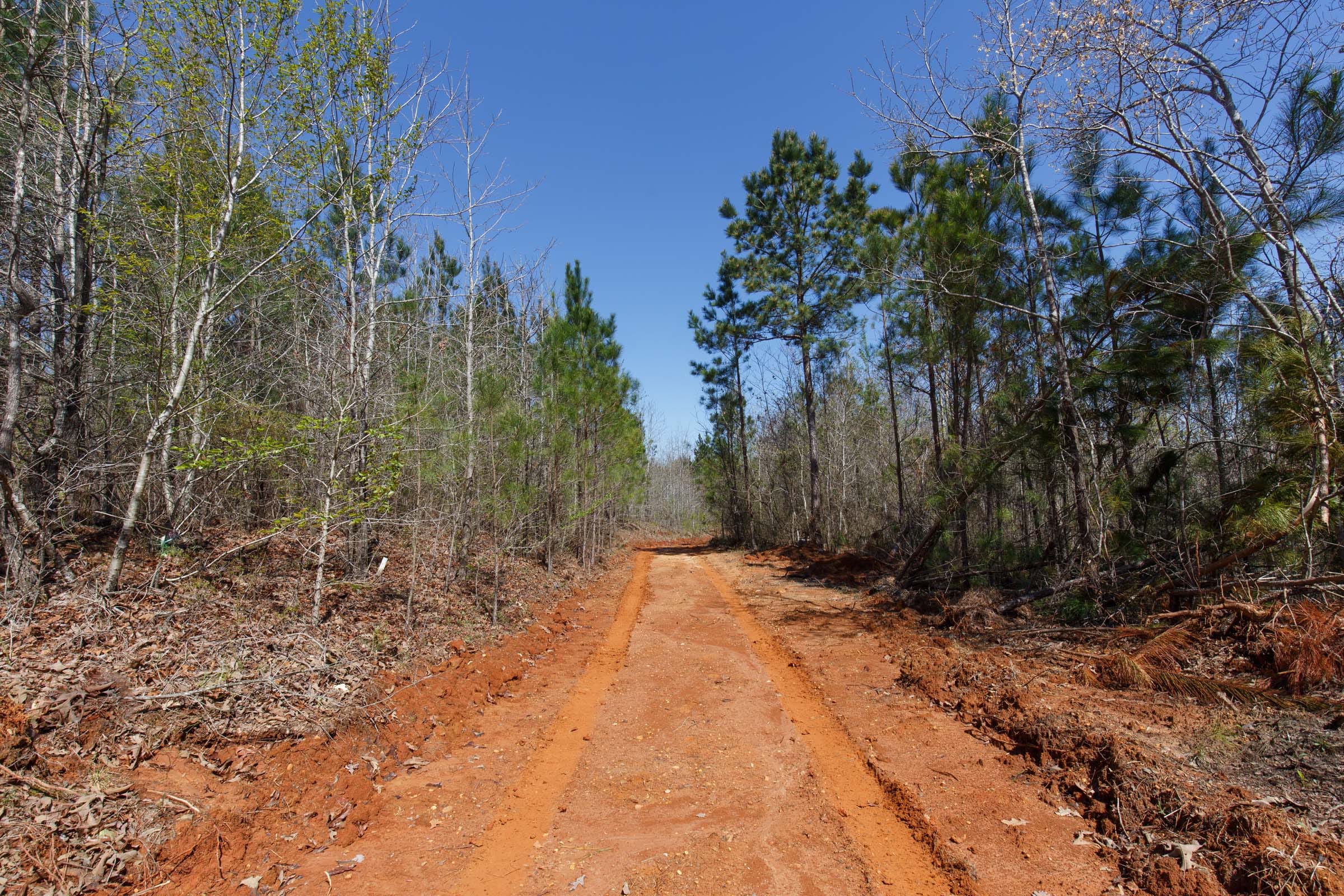 Southern Hills Tract 7 photo 5