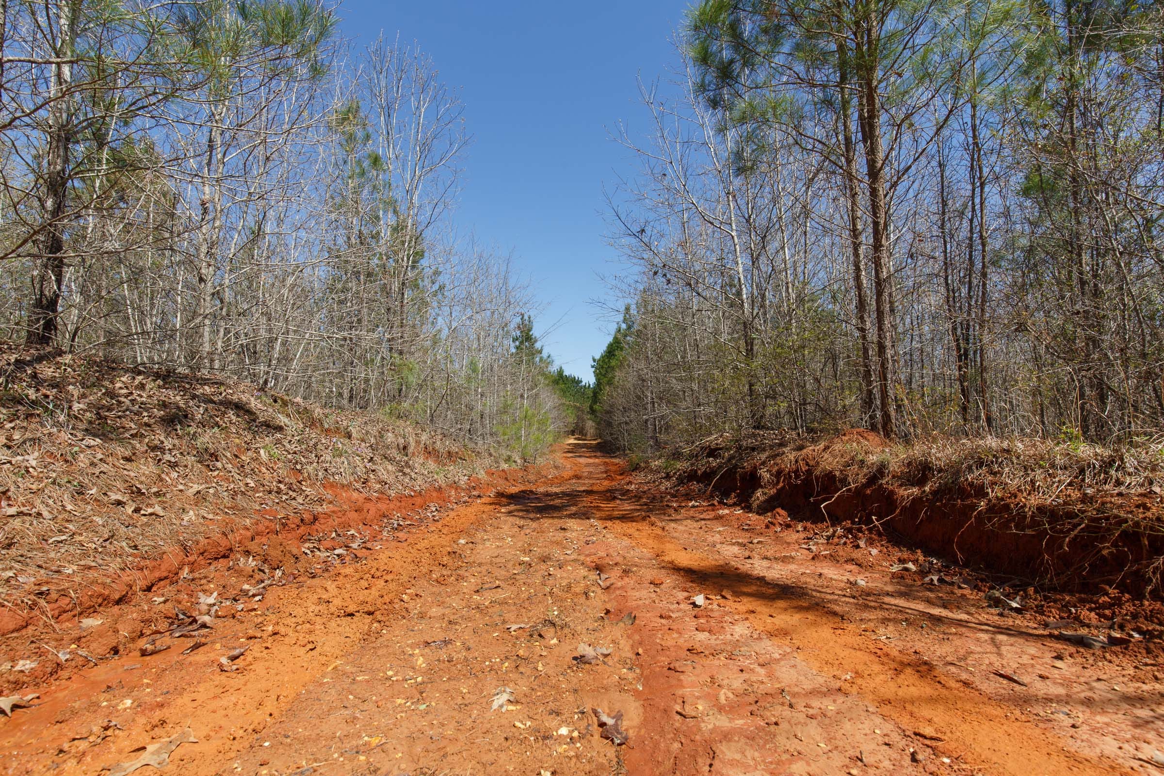 Southern Hills Tract 7 photo 8