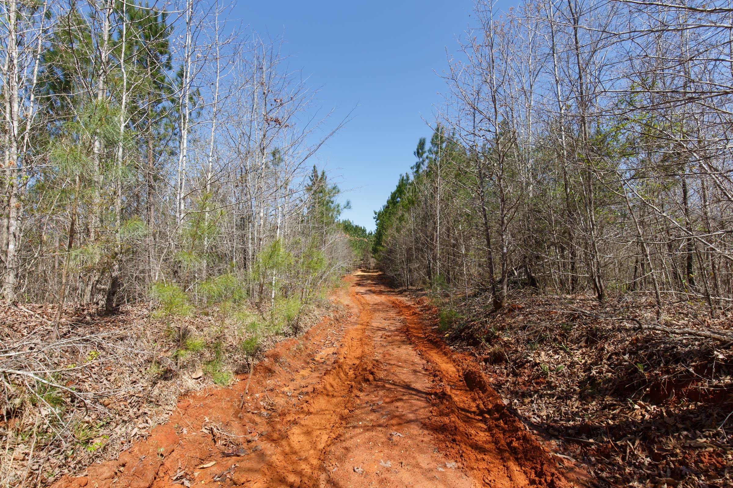 Southern Hills Tract 7 photo 2