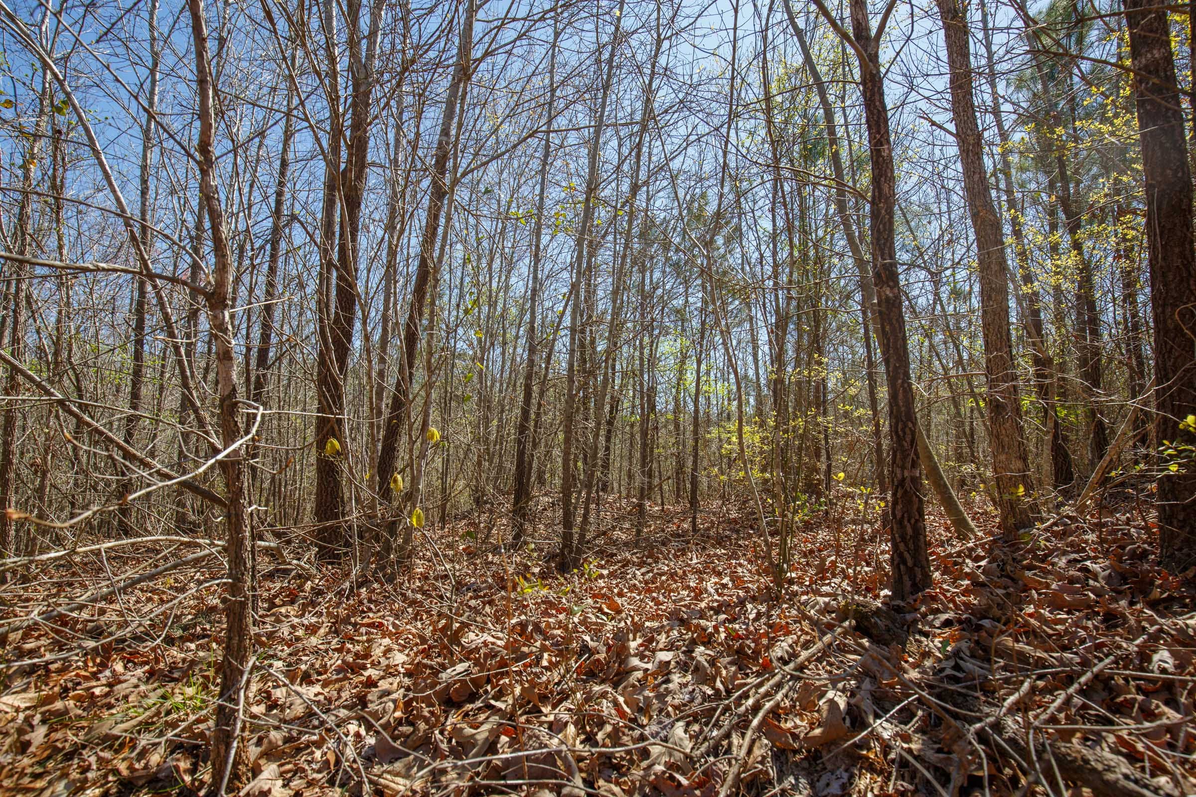Southern Hills Tract 7 photo 9