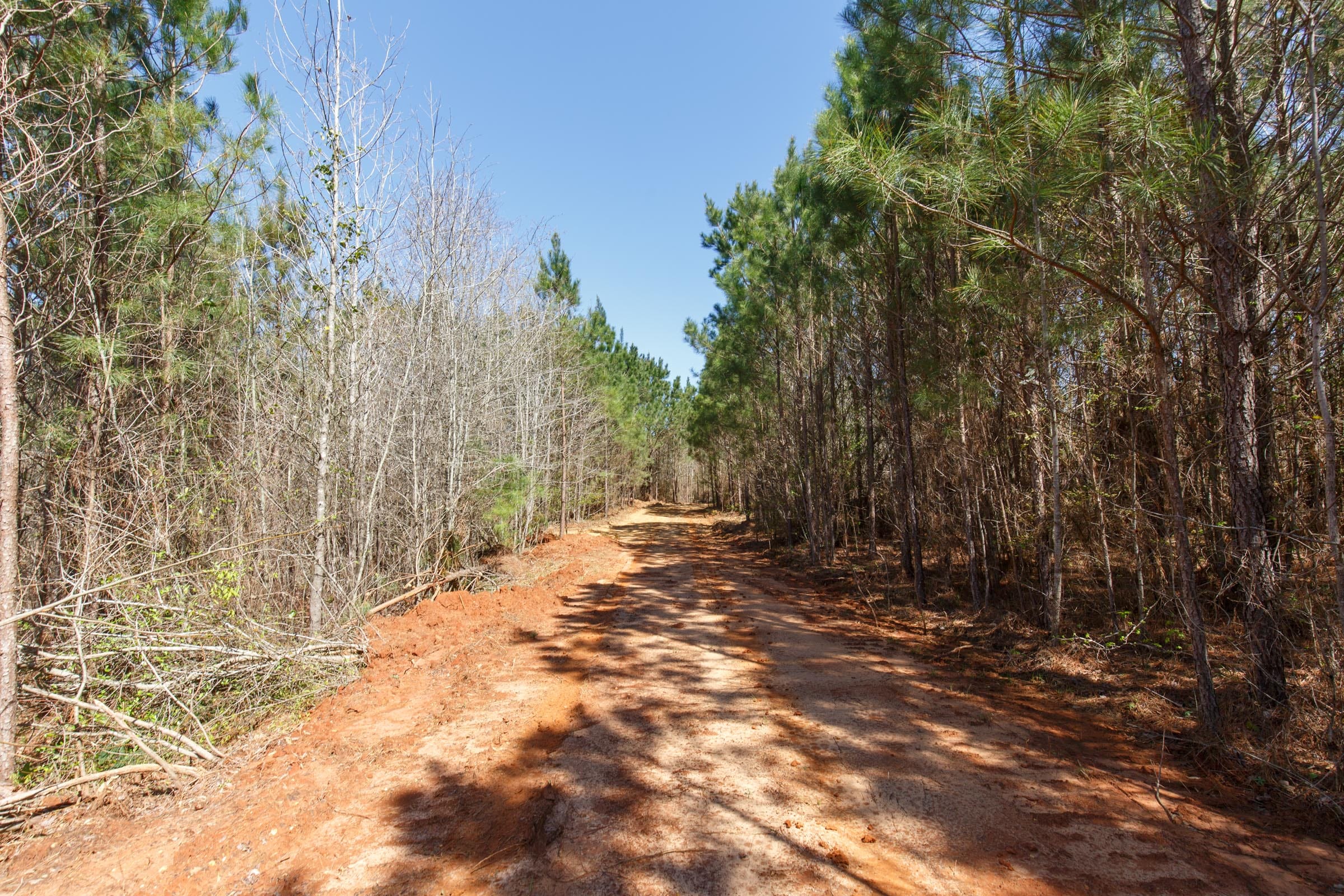 Southern Hills Tract 7 photo 11