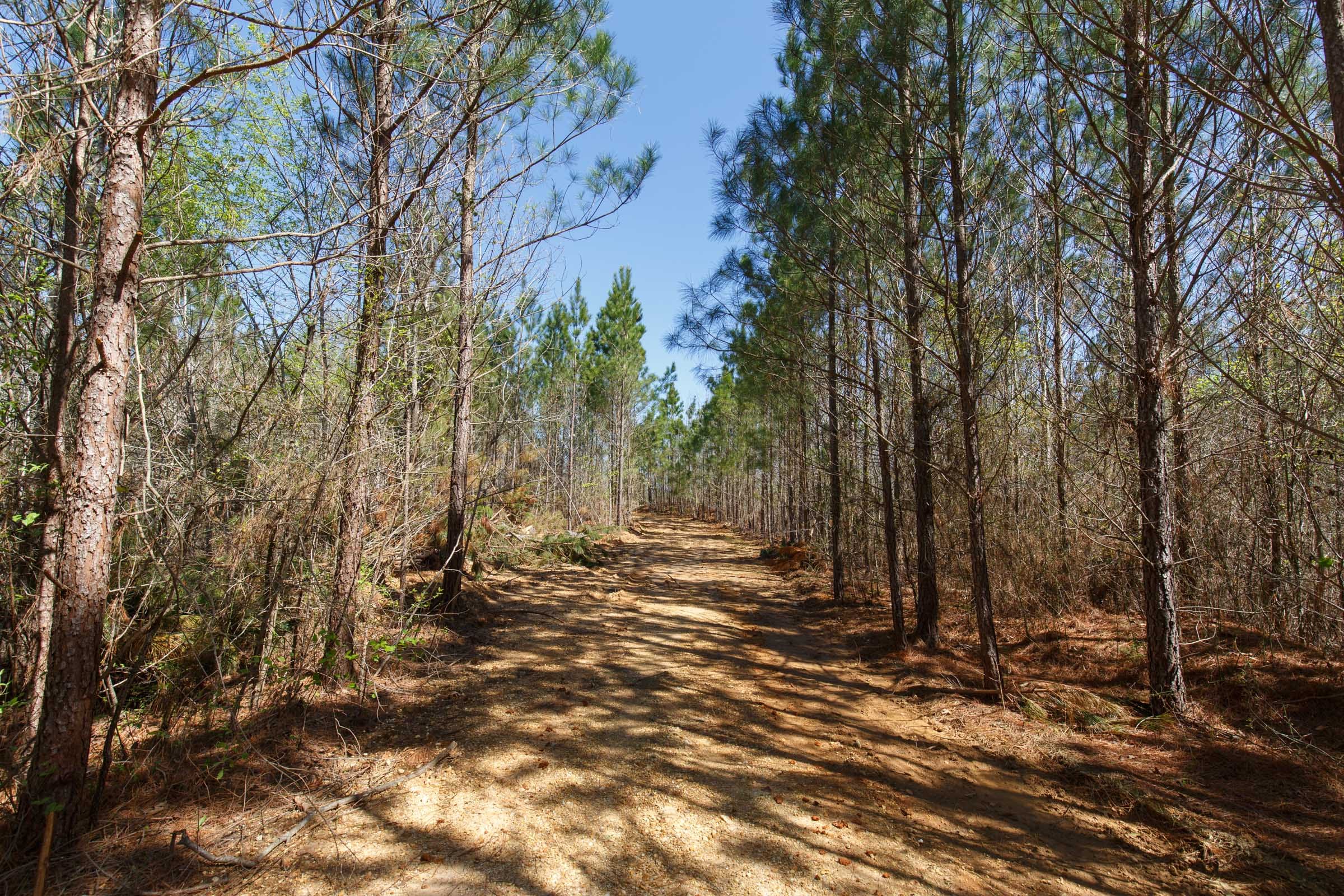 Southern Hills Tract 7 photo 21
