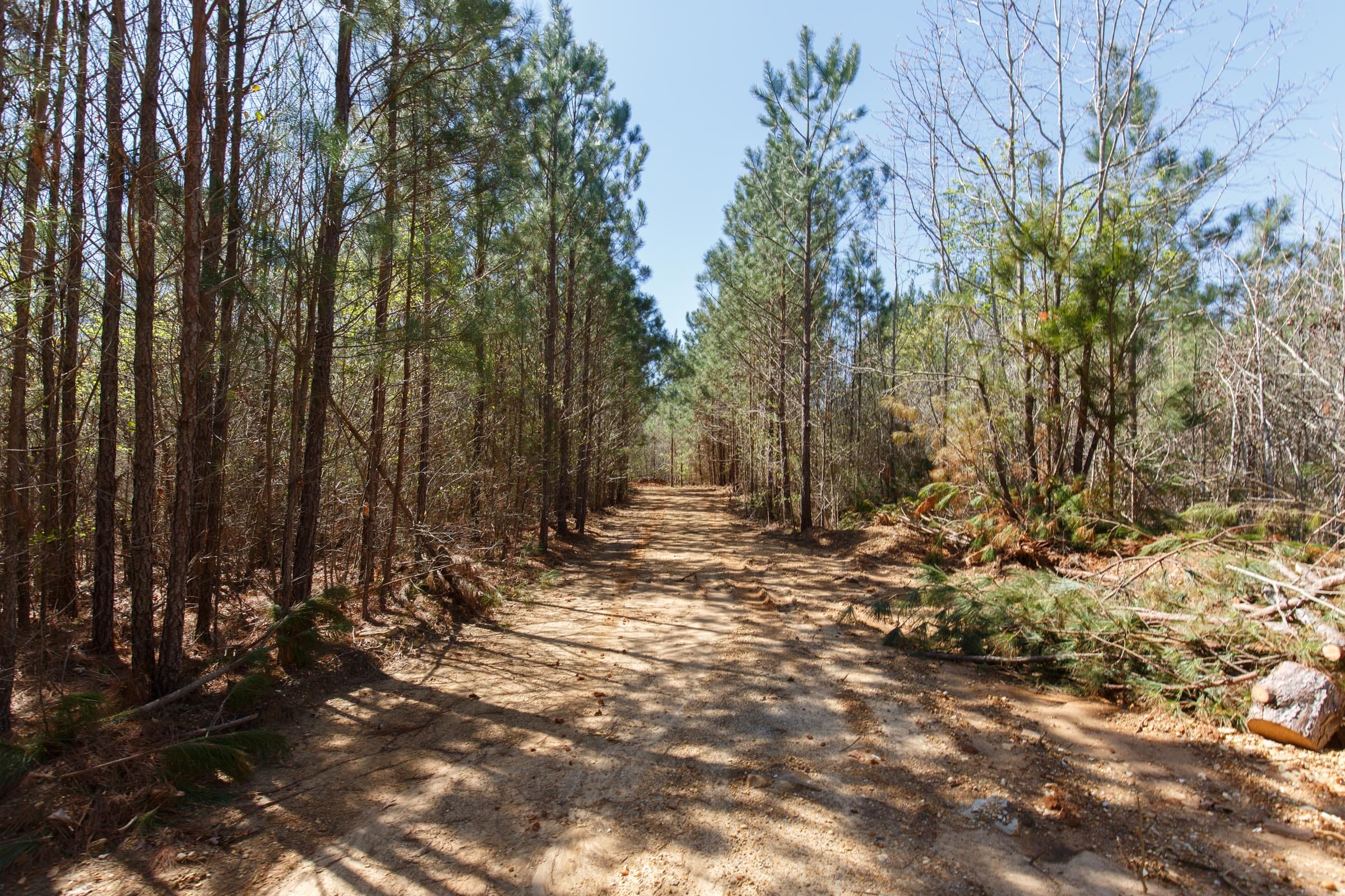 Southern Hills Tract 7 photo 23