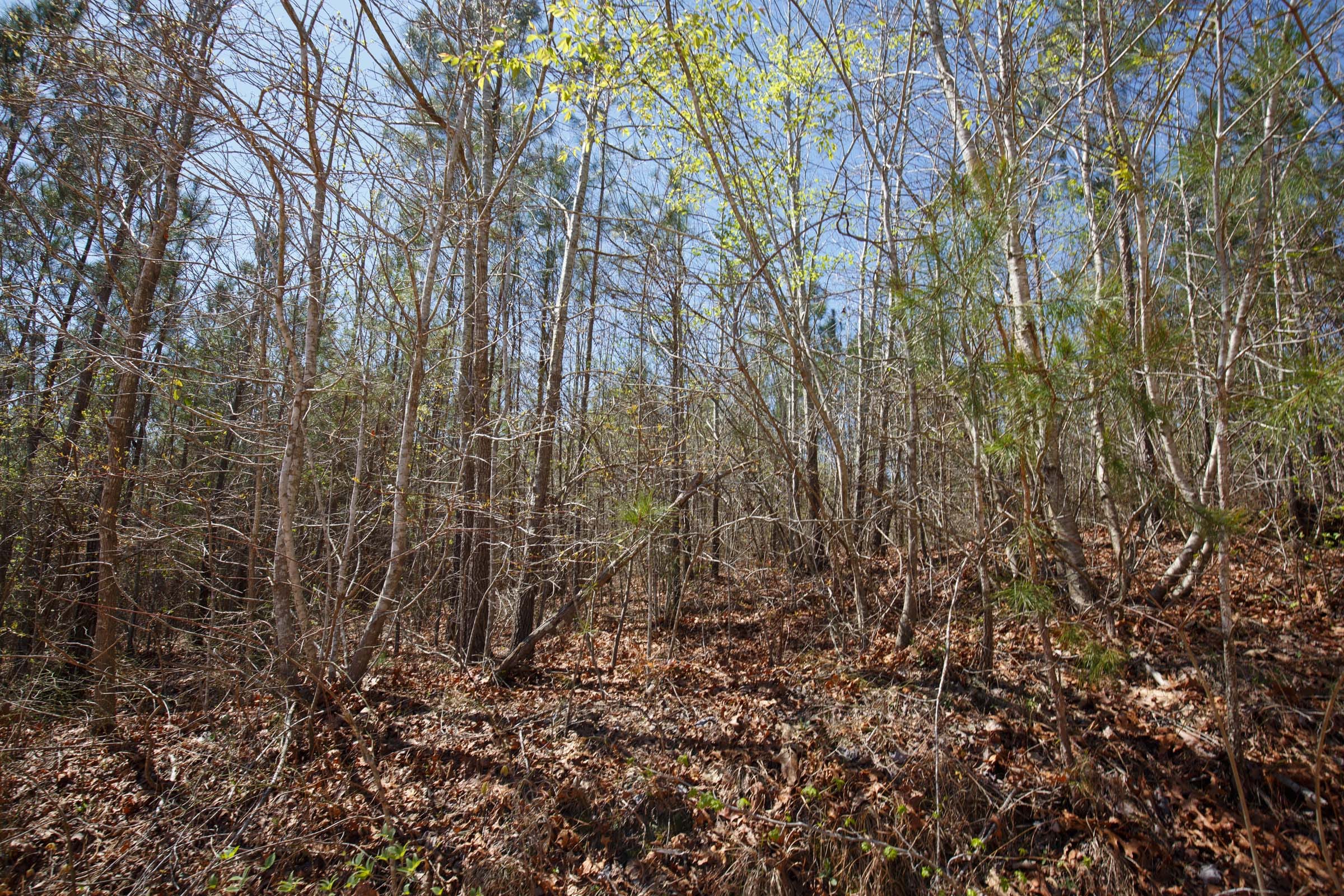 Southern Hills Tract 7 photo 22