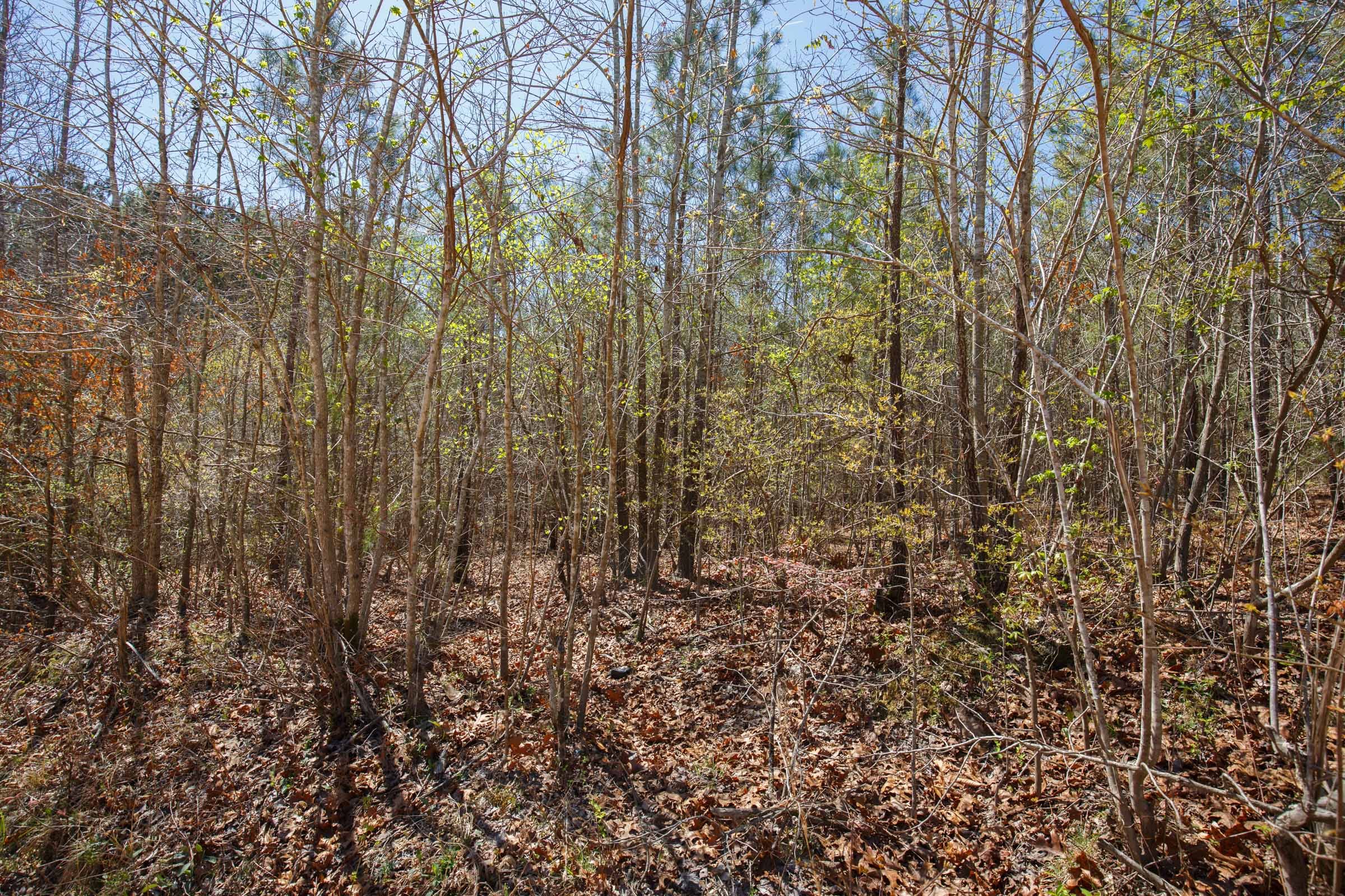 Southern Hills Tract 7 photo 24