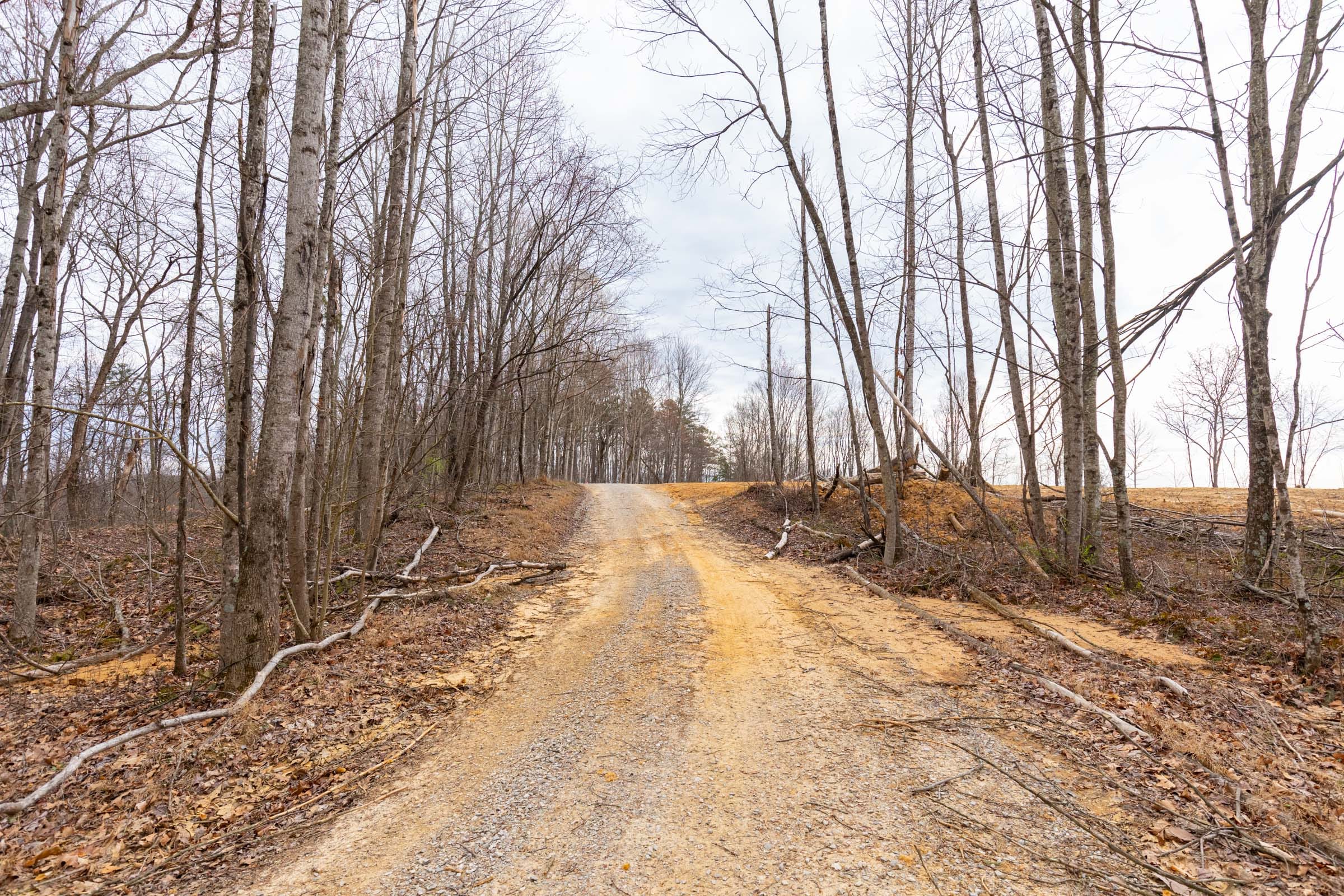 Creek Hollow Phase I Tract 1 photo 1