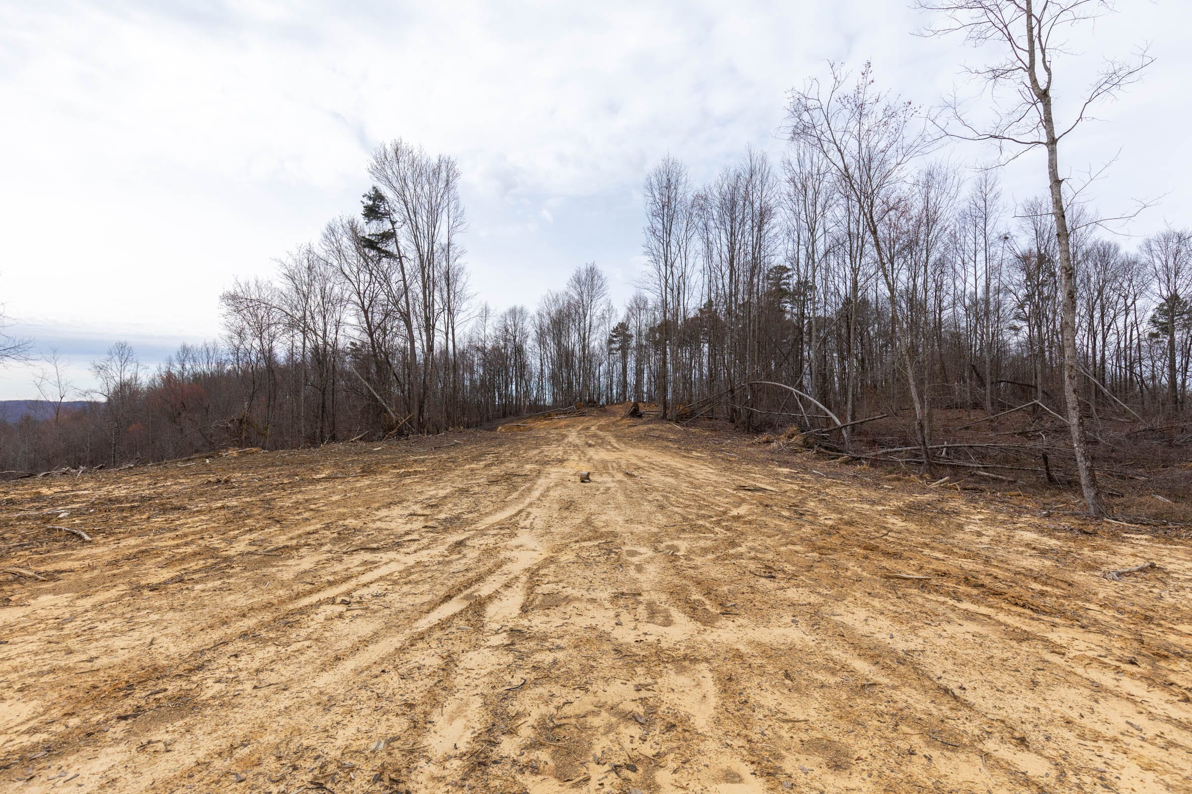 Creek Hollow Phase I Tract 1 photo 2
