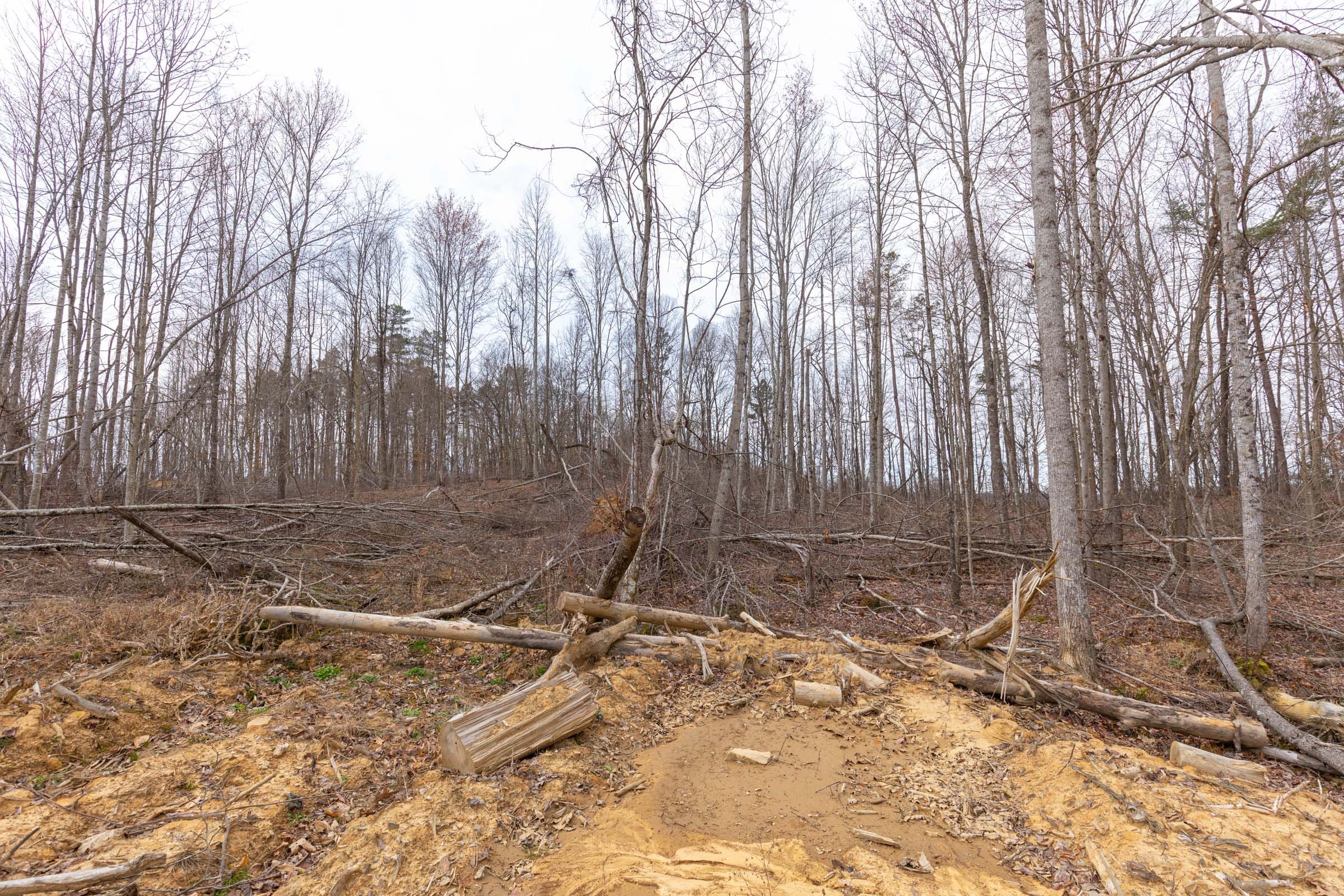 Creek Hollow Phase I Tract 1 photo 3
