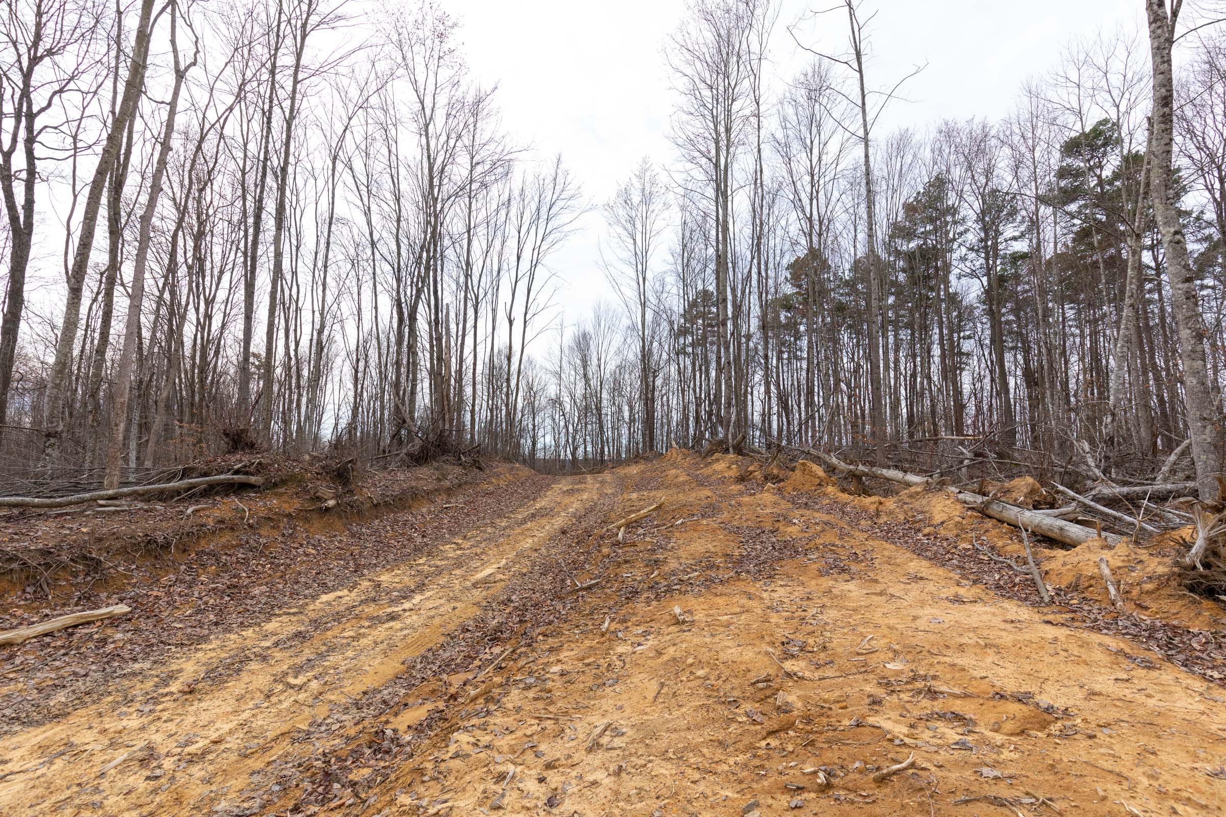 Creek Hollow Phase I Tract 1 photo 4