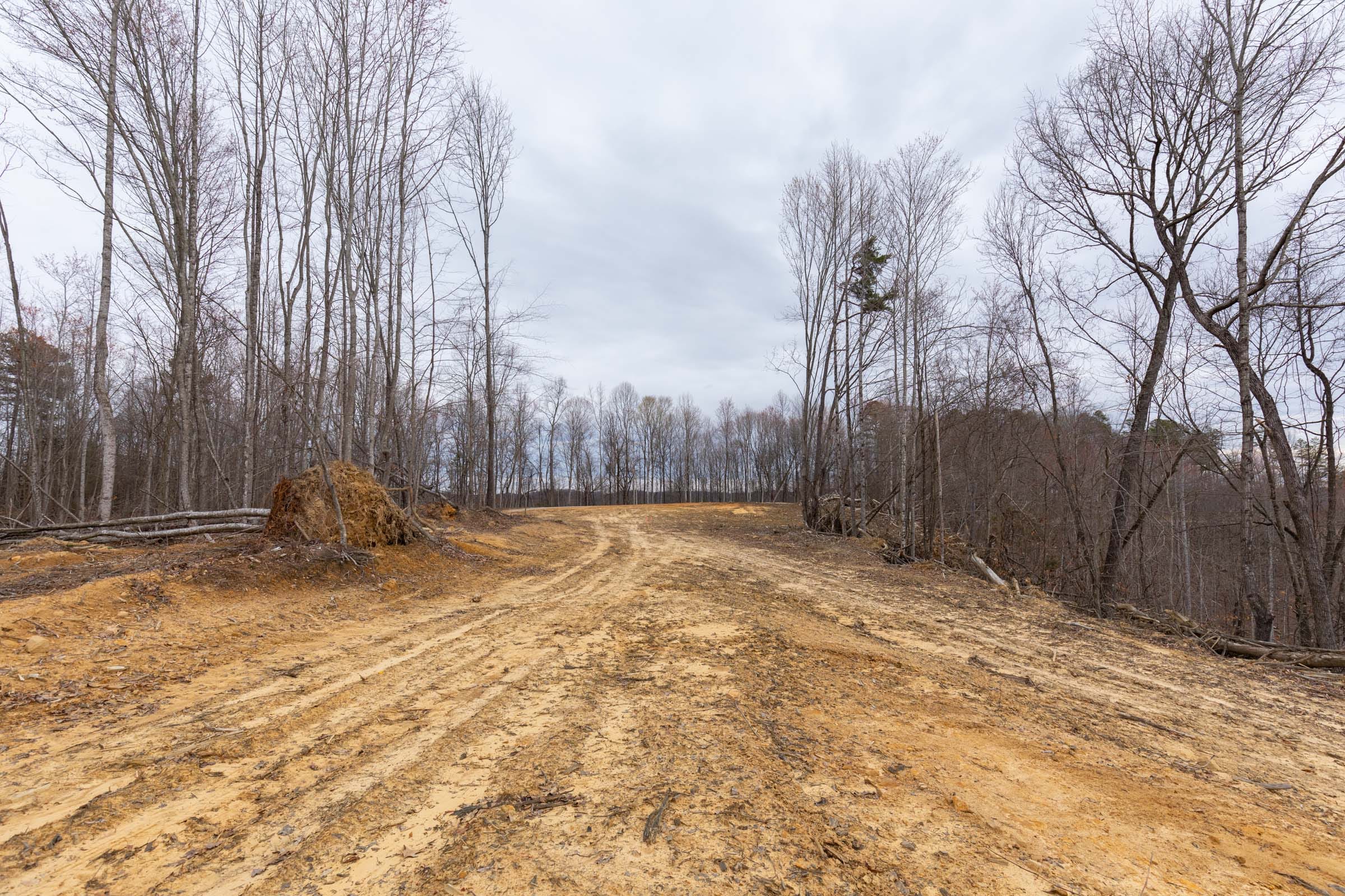 Creek Hollow Phase I Tract 1 photo 5