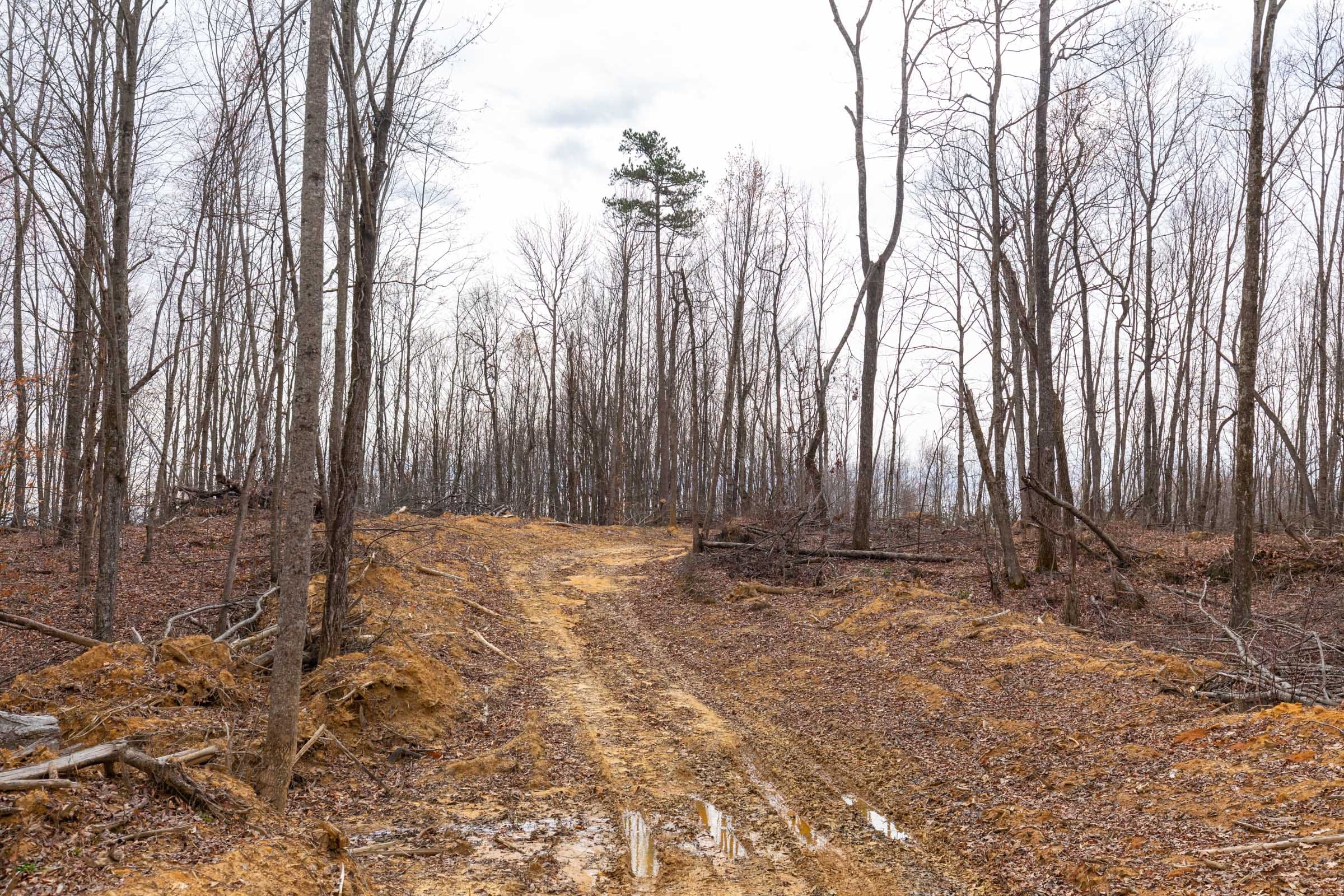 Creek Hollow Phase I Tract 1 photo 6
