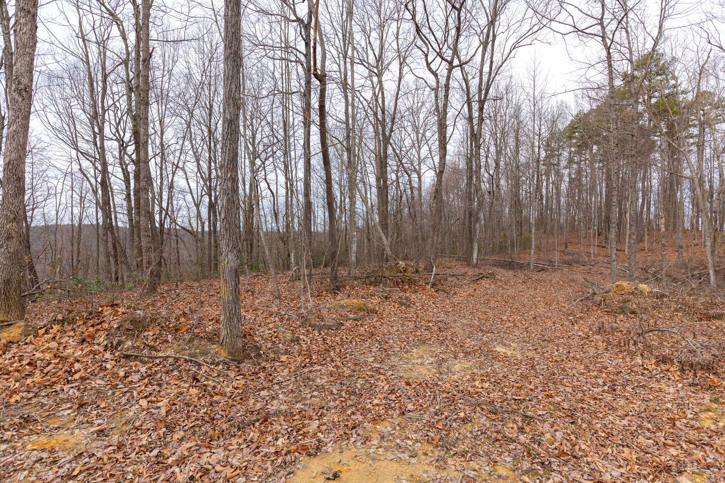 Creek Hollow Phase I Tract 1 photo 7