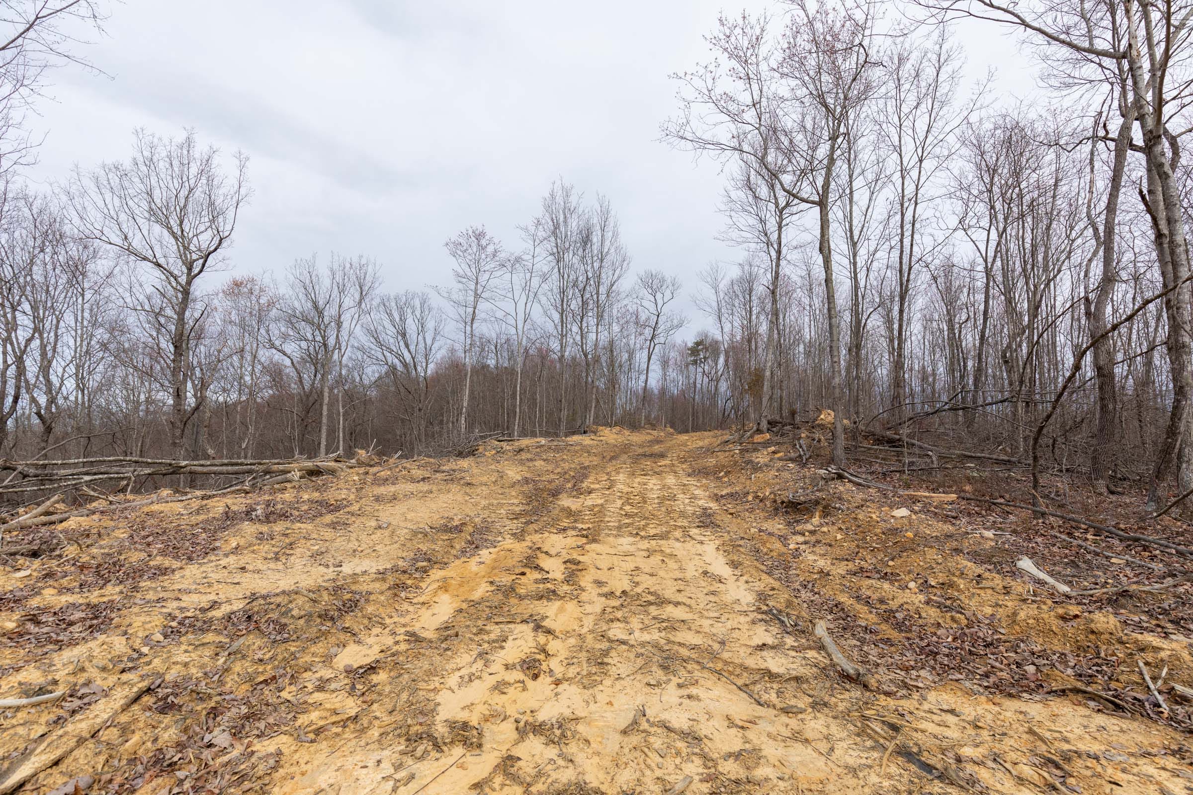 Creek Hollow Phase I Tract 1 photo 9
