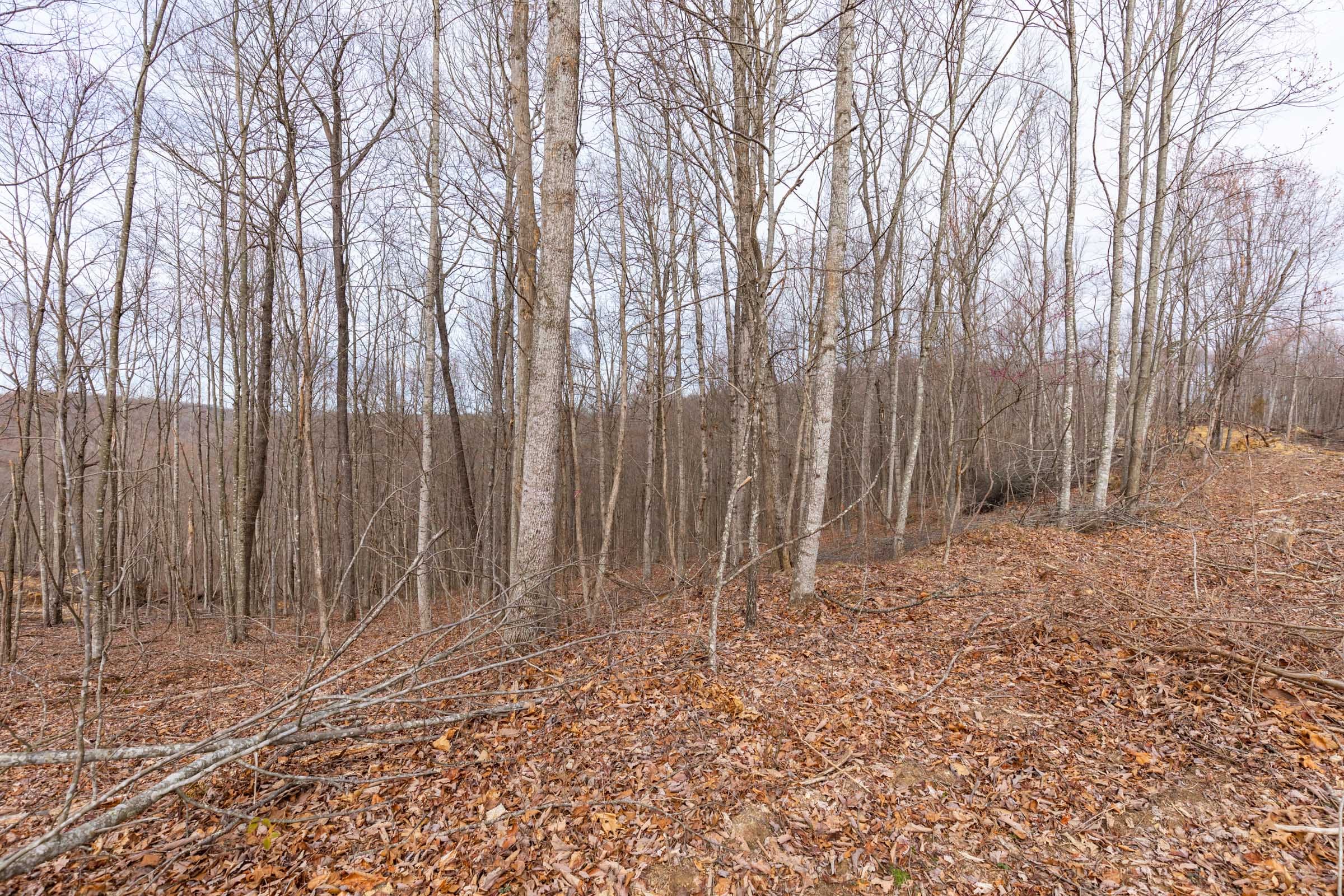 Creek Hollow Phase I Tract 1 photo 14